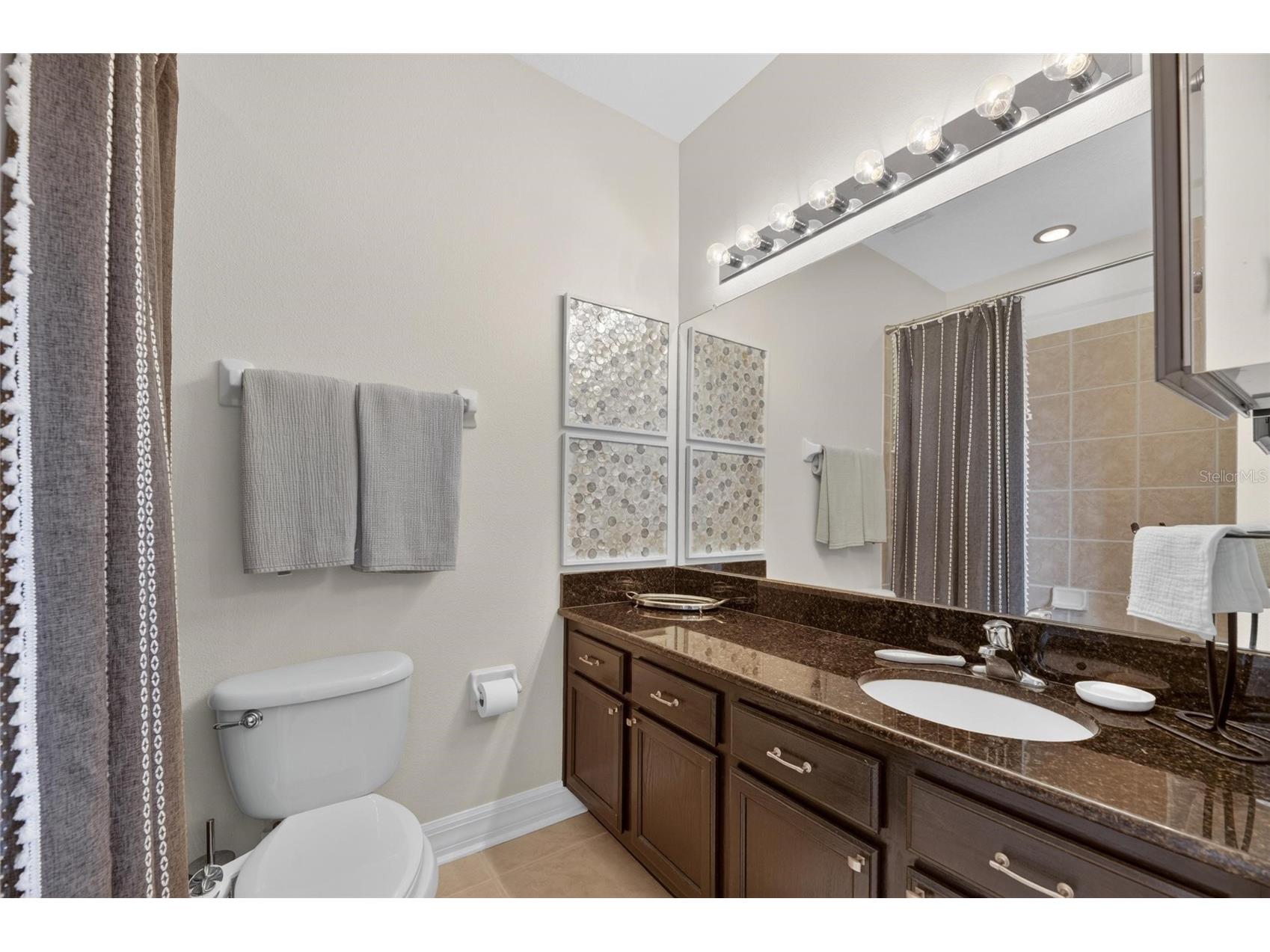 6408 Mayra Shores Lane Apollo Beach FL 33572 TB8516326 image80