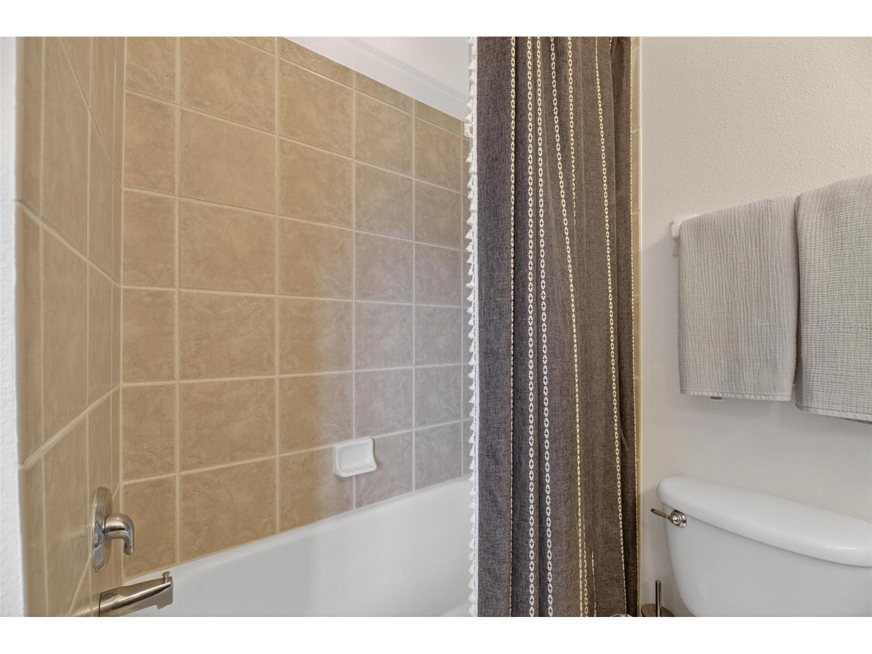 6408 Mayra Shores Lane Apollo Beach FL 33572 TB8516326 image81
