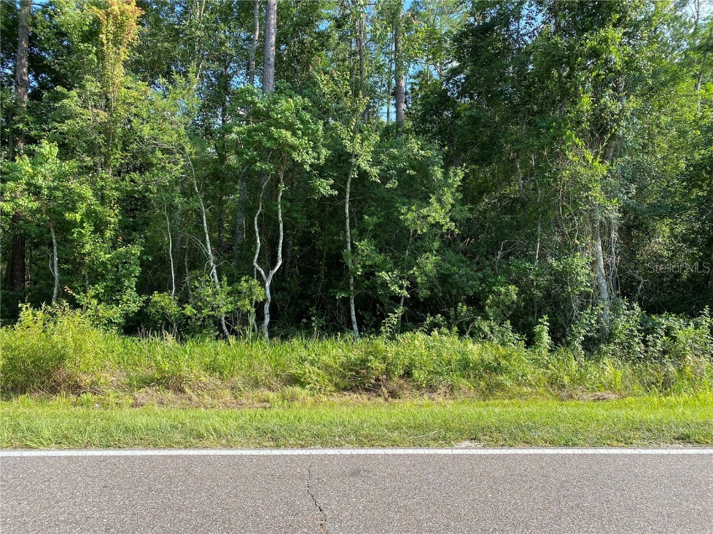 6408 Navarre Avenue Hampton FL 32044 GC524931 image1