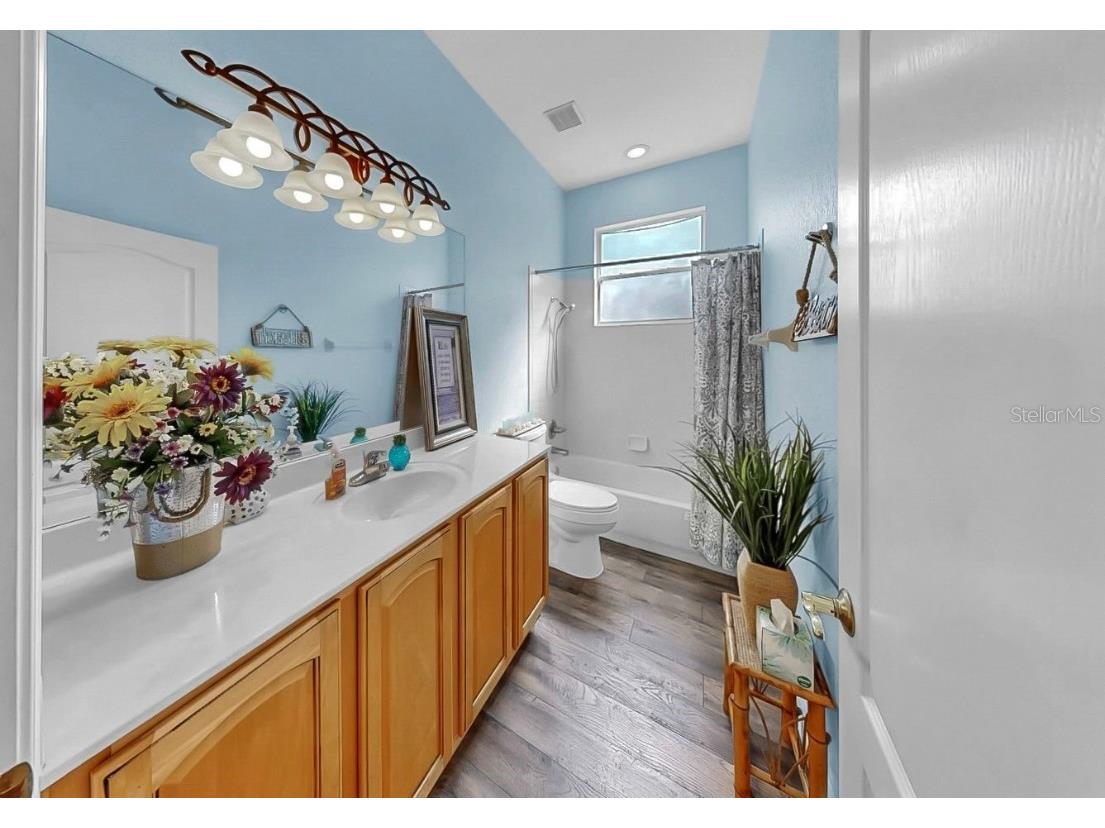 6408 Rubia Circle Apollo Beach FL 33572 TB8422708 image54