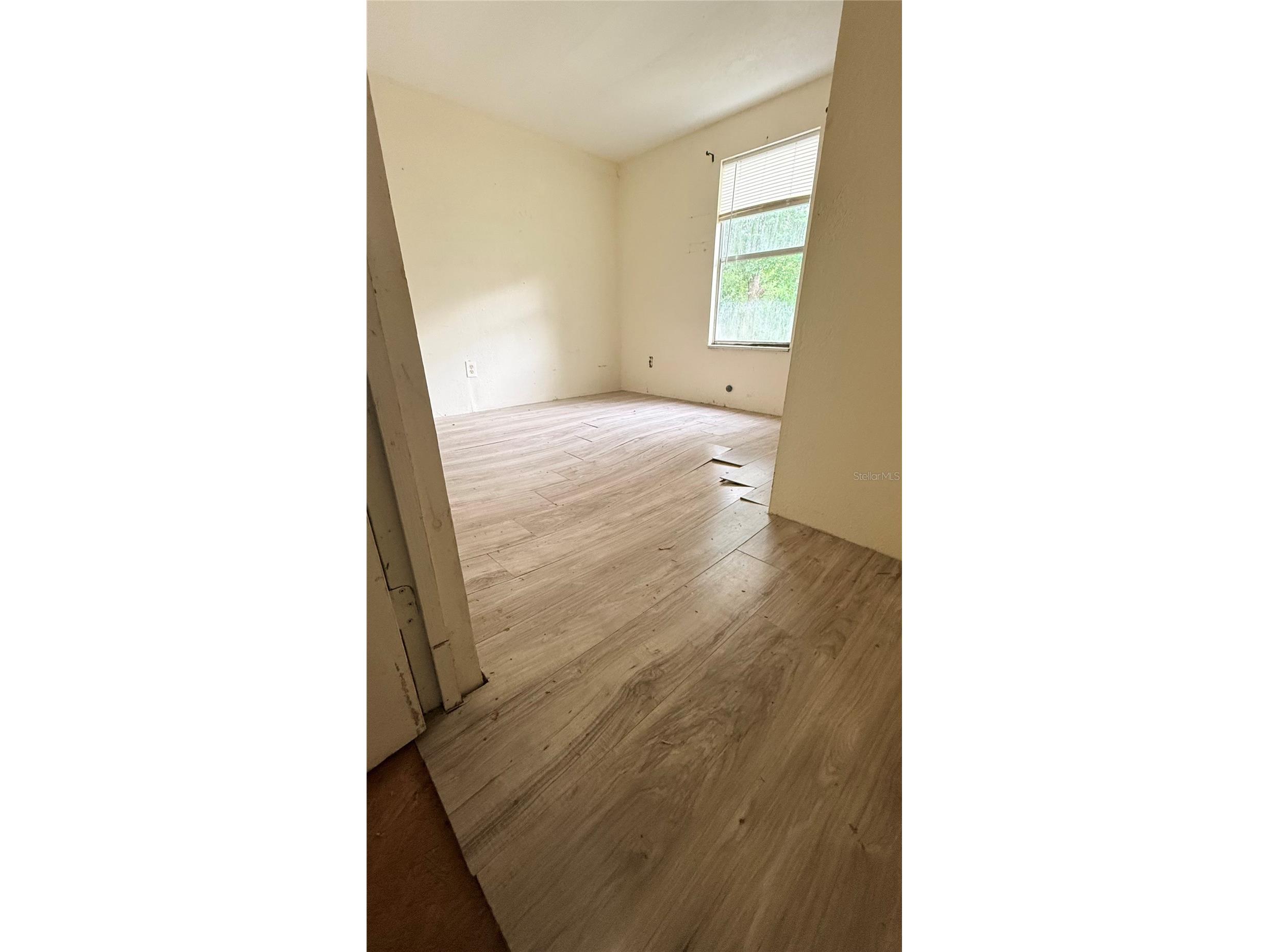 6408 Woodsman Drive Wesley Chapel FL 33544 L4963494 image5