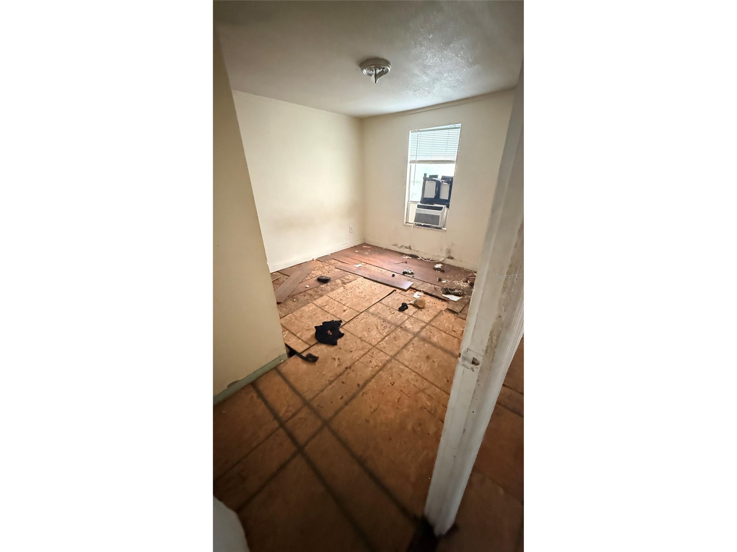 6408 Woodsman Drive Wesley Chapel FL 33544 L4963494 image6