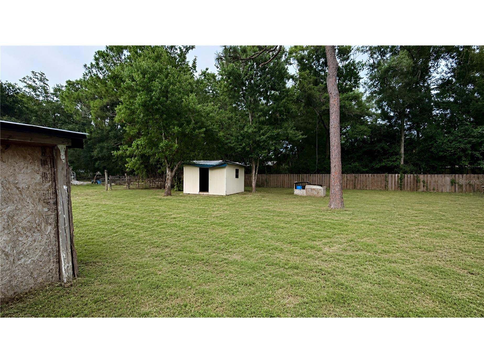 6408 Woodsman Drive Wesley Chapel FL 33544 L4963494 image7