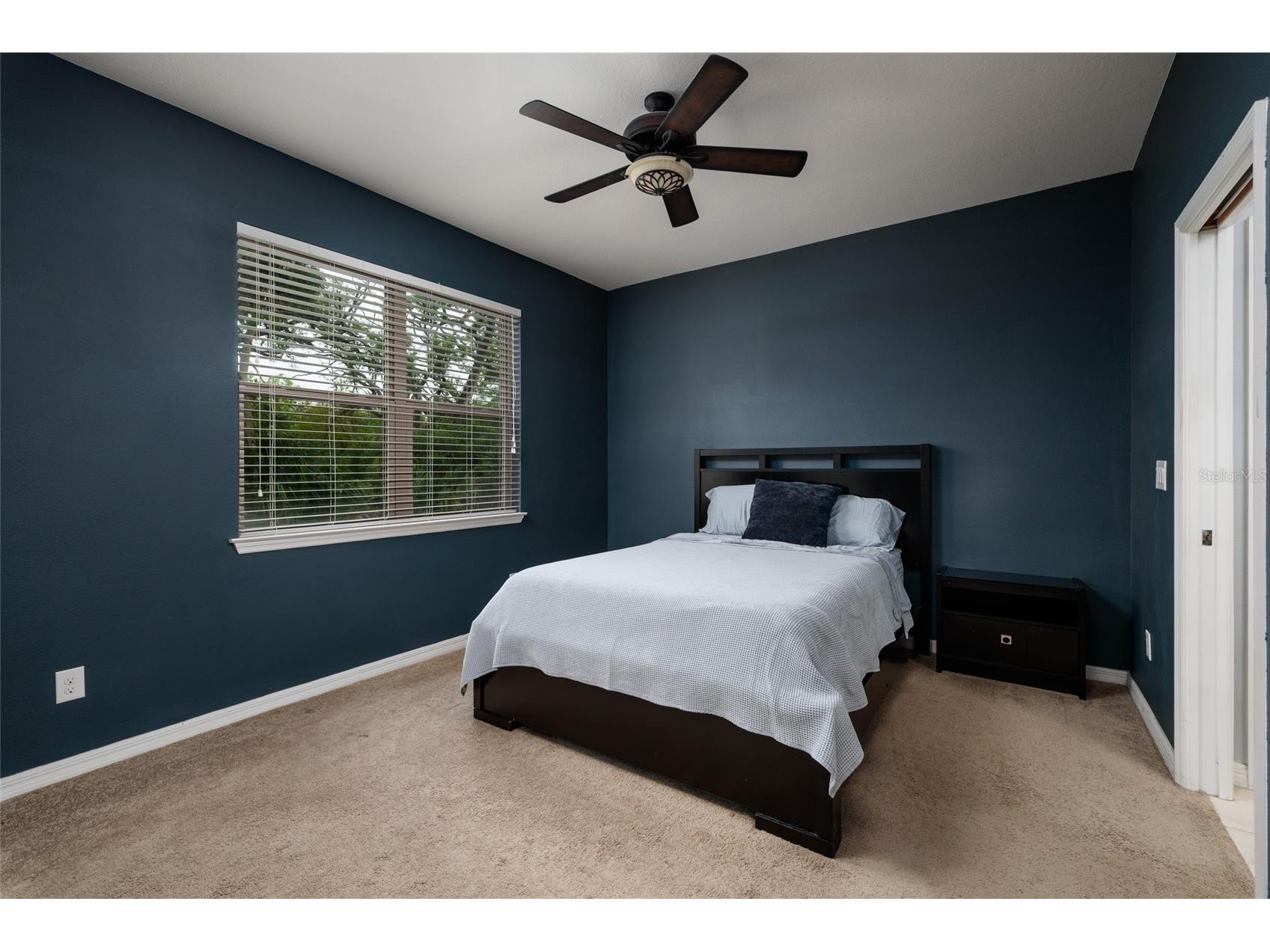 6408 Yellow Buckeye Drive Riverview FL 33578 TB8497545 image12