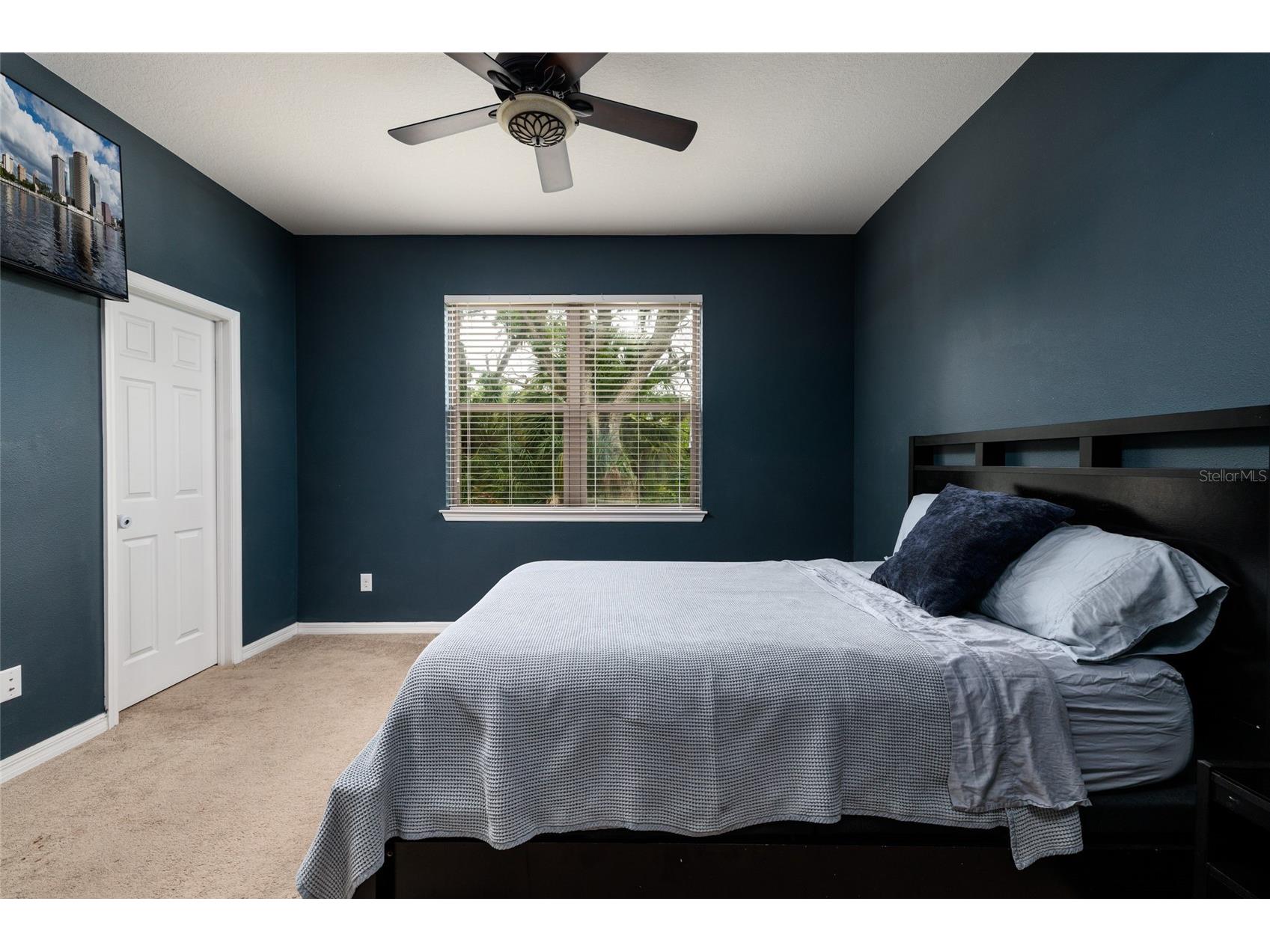 6408 Yellow Buckeye Drive Riverview FL 33578 TB8497545 image13