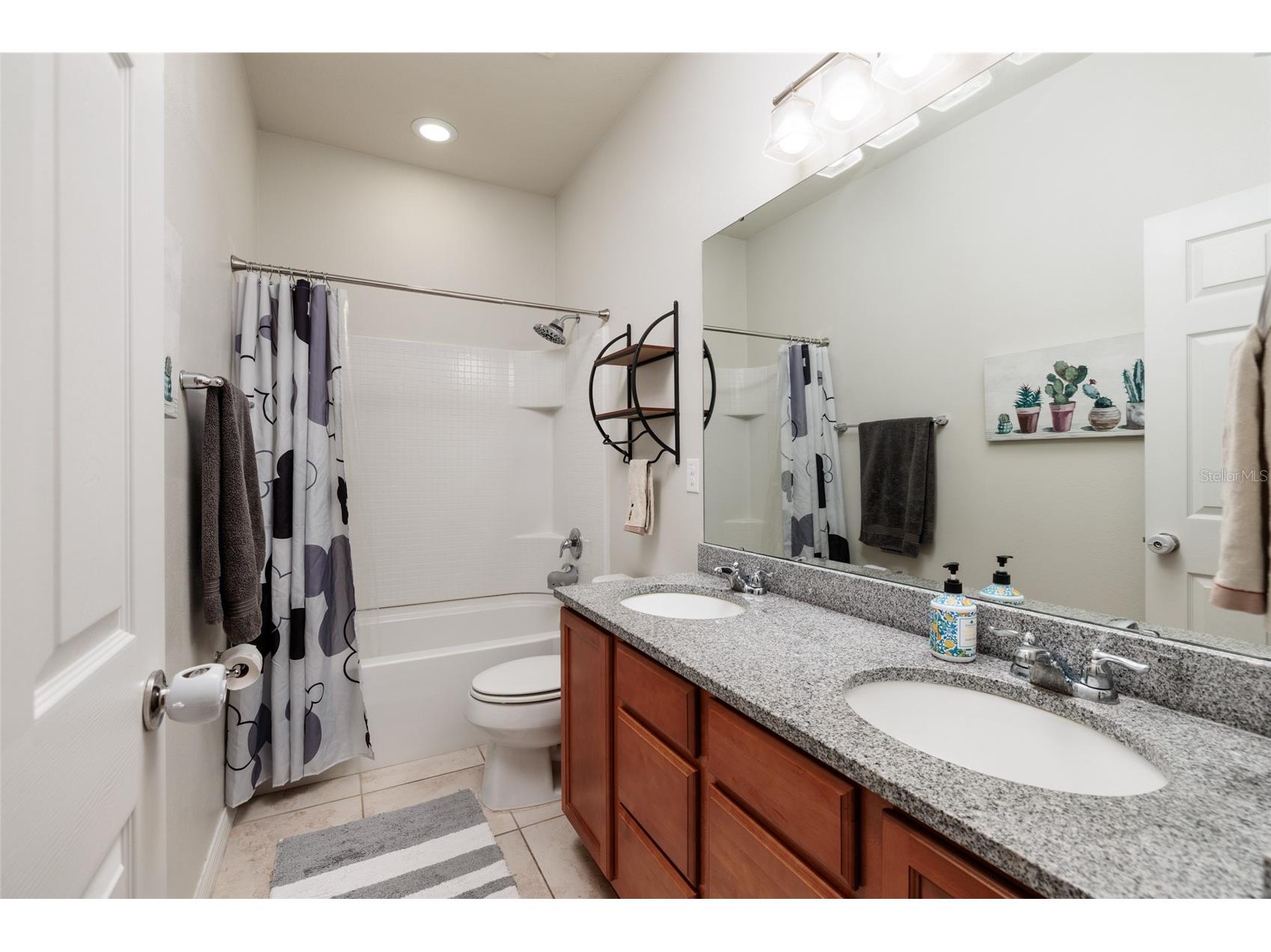 6408 Yellow Buckeye Drive Riverview FL 33578 TB8497545 image18