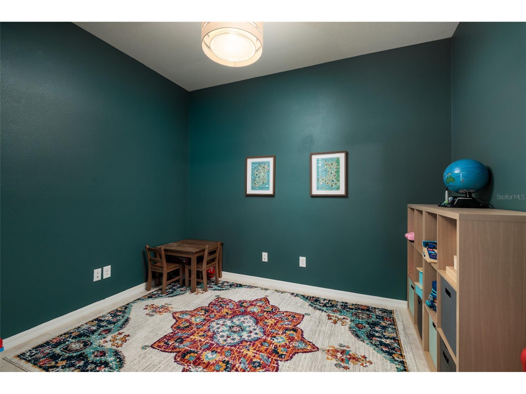 6408 Yellow Buckeye Drive Riverview FL 33578 TB8497545 image20