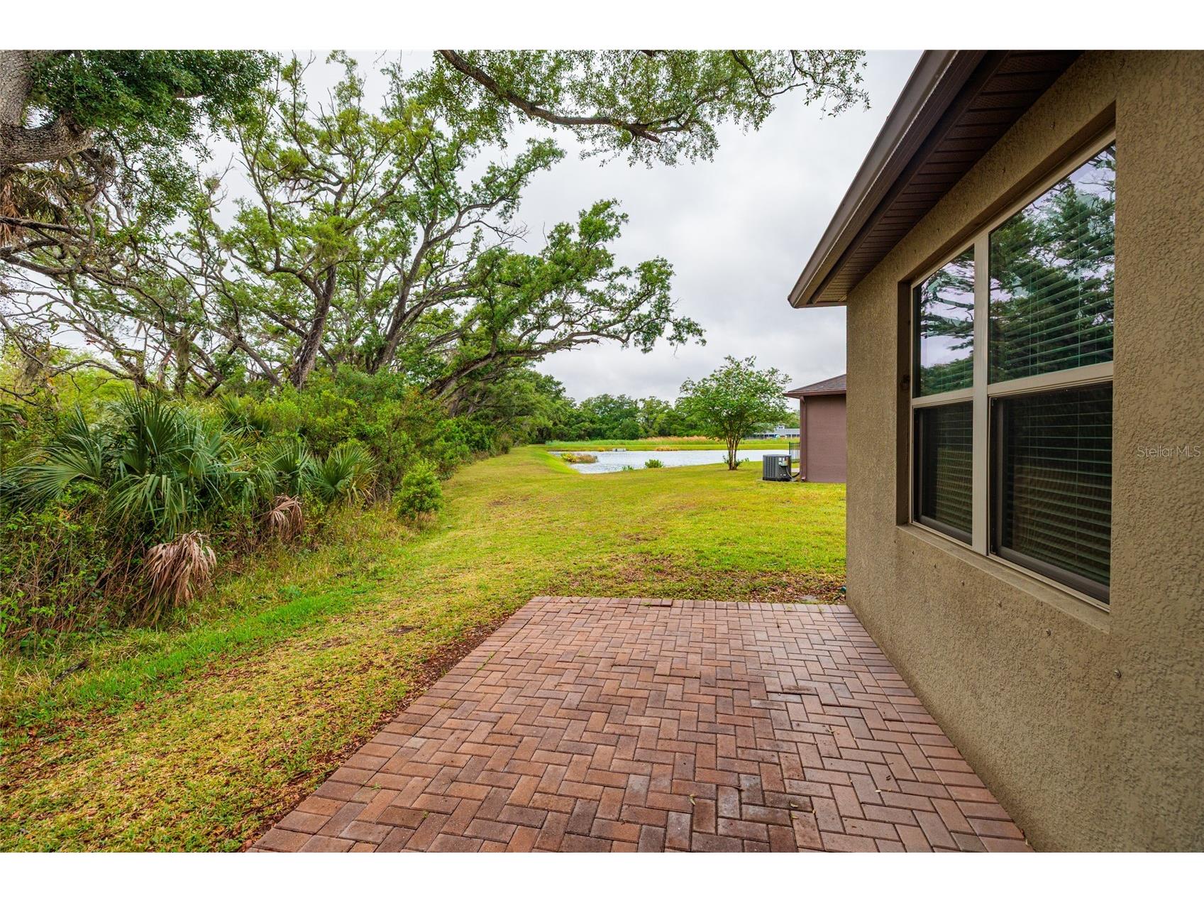 6408 Yellow Buckeye Drive Riverview FL 33578 TB8497545 image24