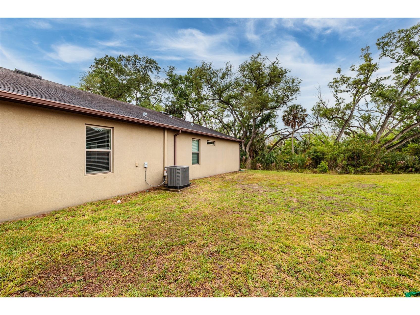 6408 Yellow Buckeye Drive Riverview FL 33578 TB8497545 image28