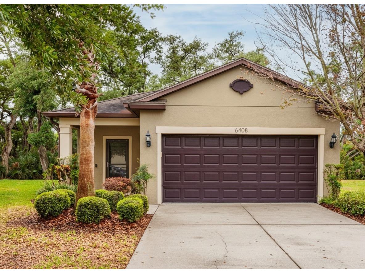 6408 Yellow Buckeye Drive Riverview FL 33578 TB8497545 image33