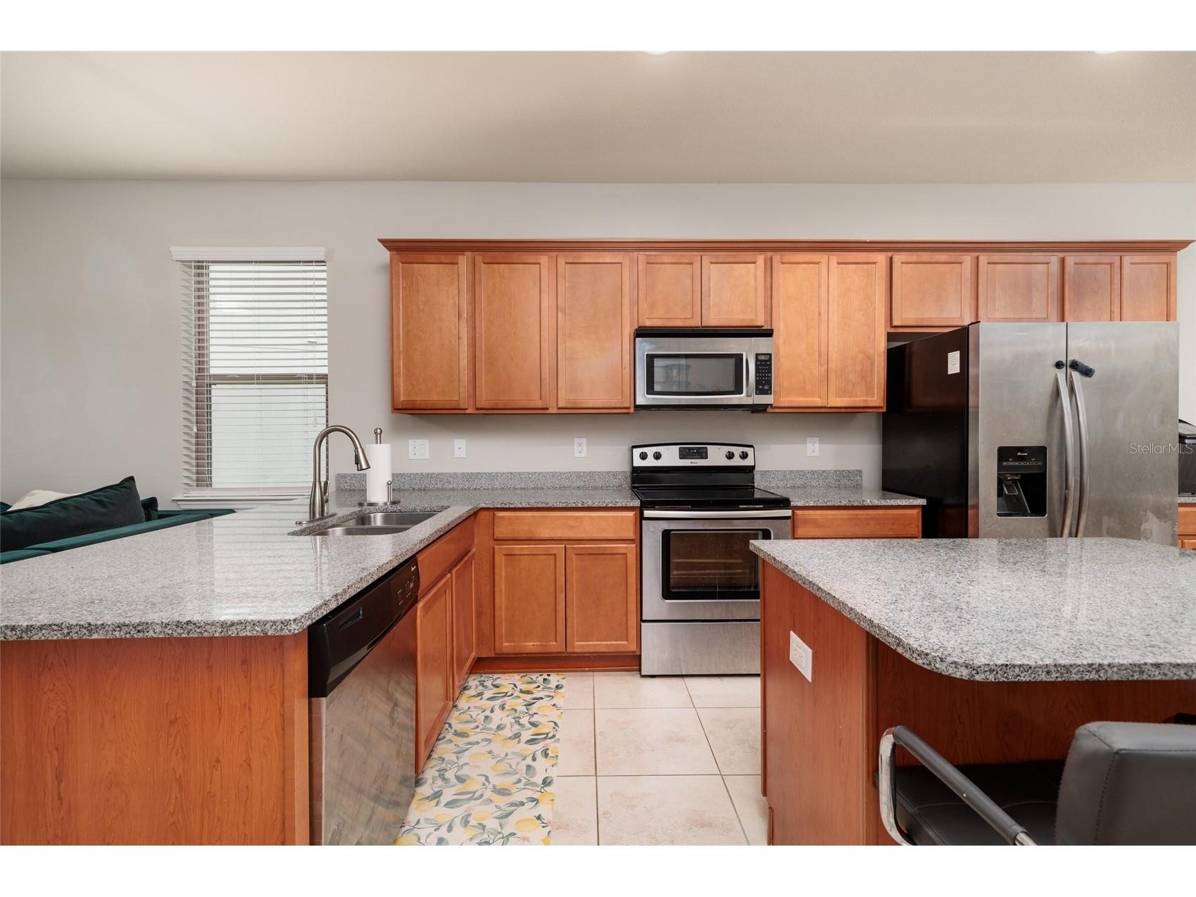 6408 Yellow Buckeye Drive Riverview FL 33578 TB8497545 image9