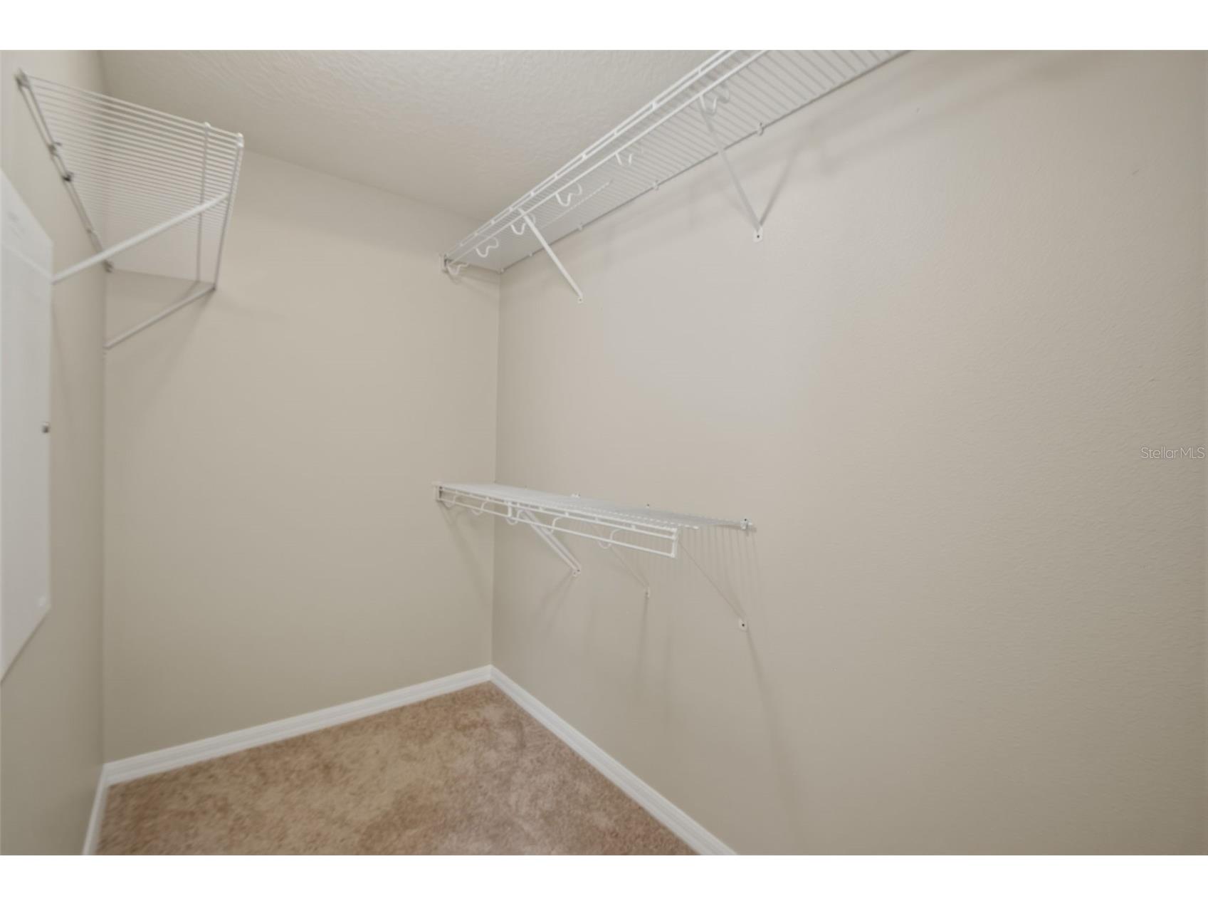 6409 Bridgecrest Drive Lithia FL 33547 O6404344 image43