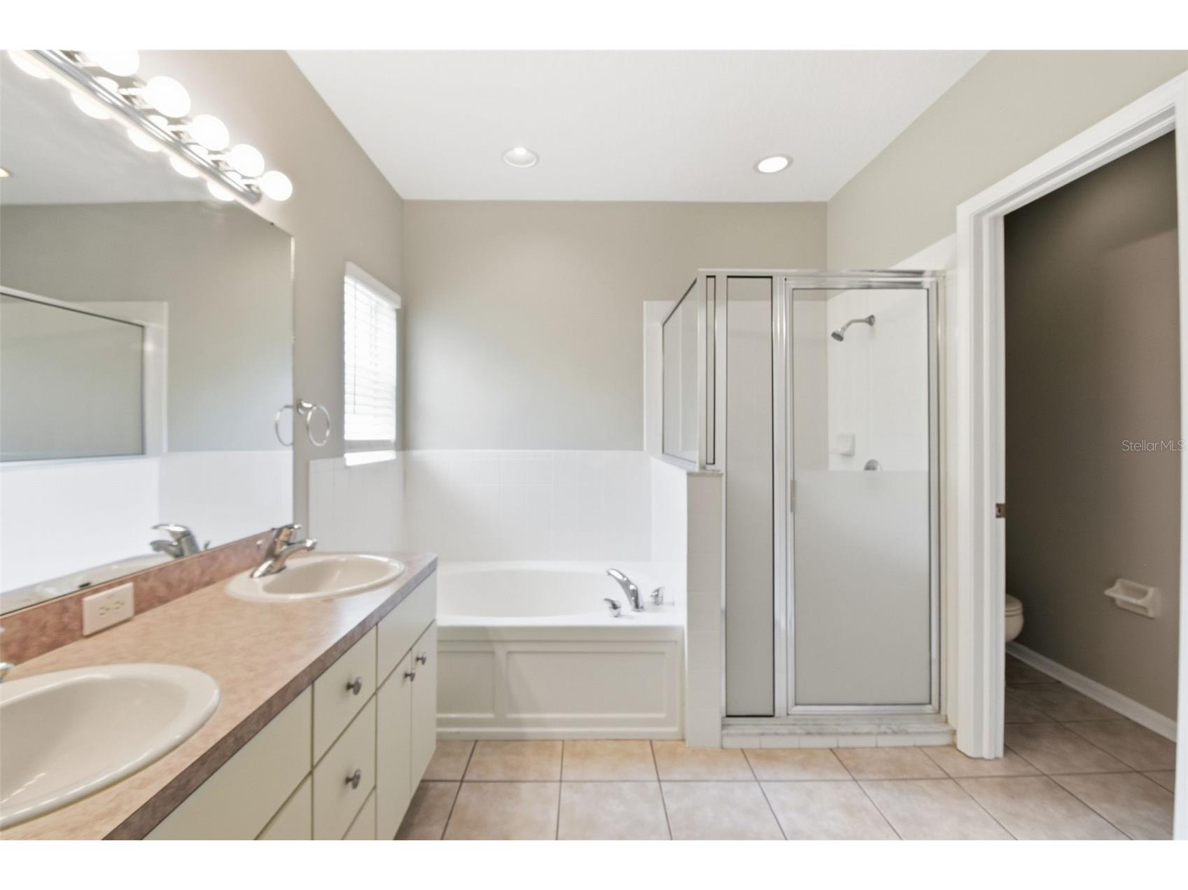 6409 Bridgecrest Drive Lithia FL 33547 O6404344 image44