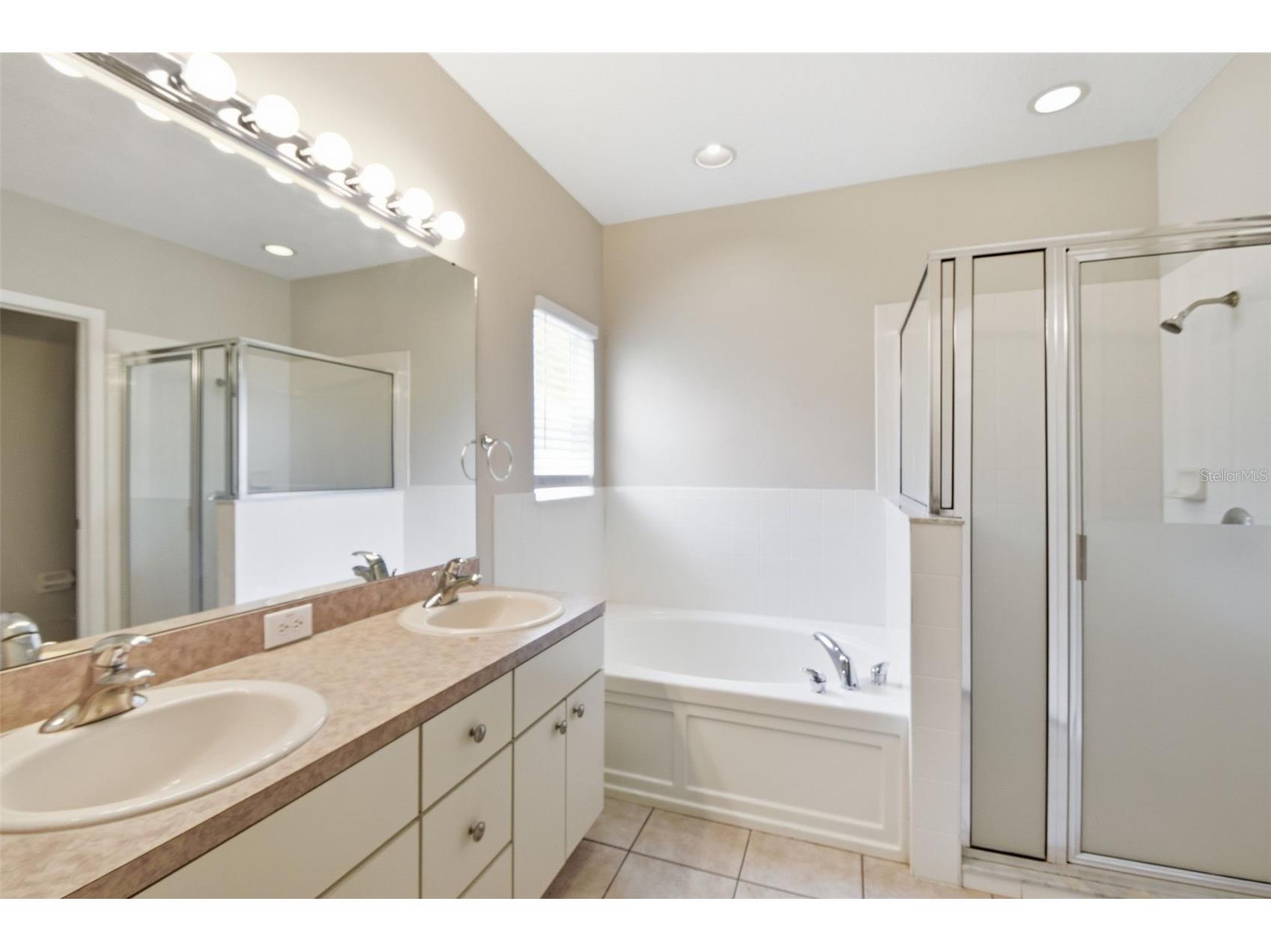 6409 Bridgecrest Drive Lithia FL 33547 O6404344 image45