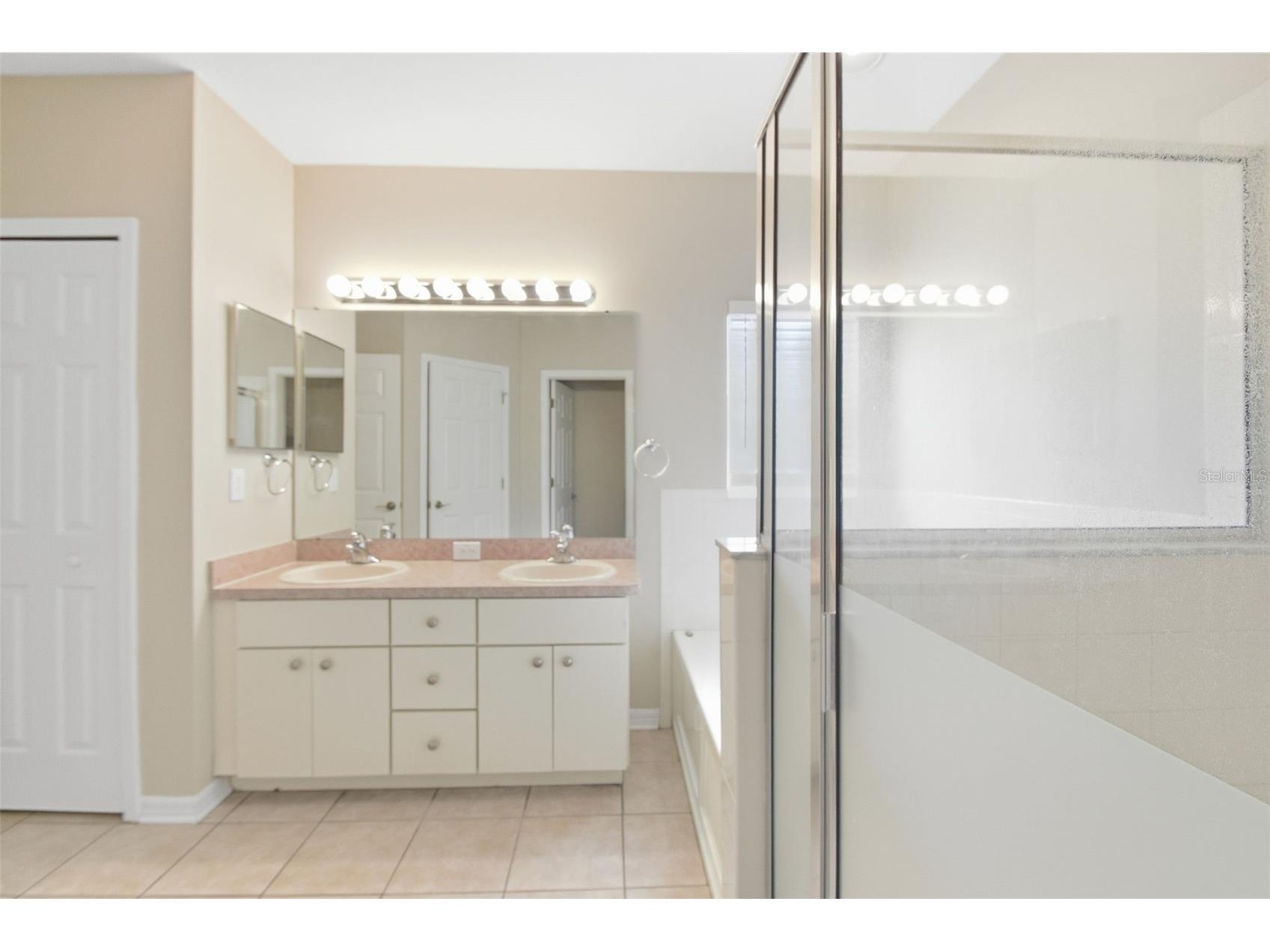 6409 Bridgecrest Drive Lithia FL 33547 O6404344 image46