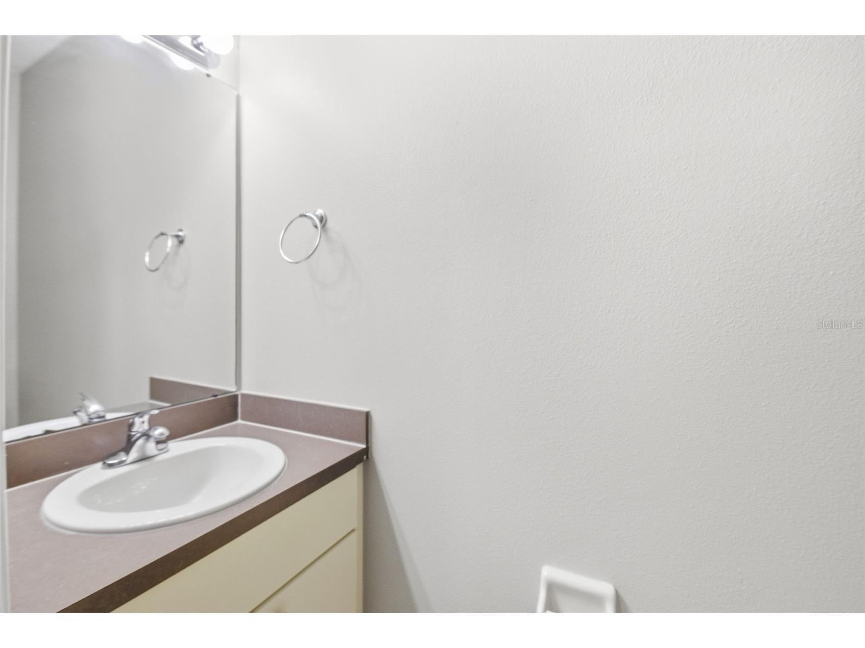 6409 Bridgecrest Drive Lithia FL 33547 O6404344 image48