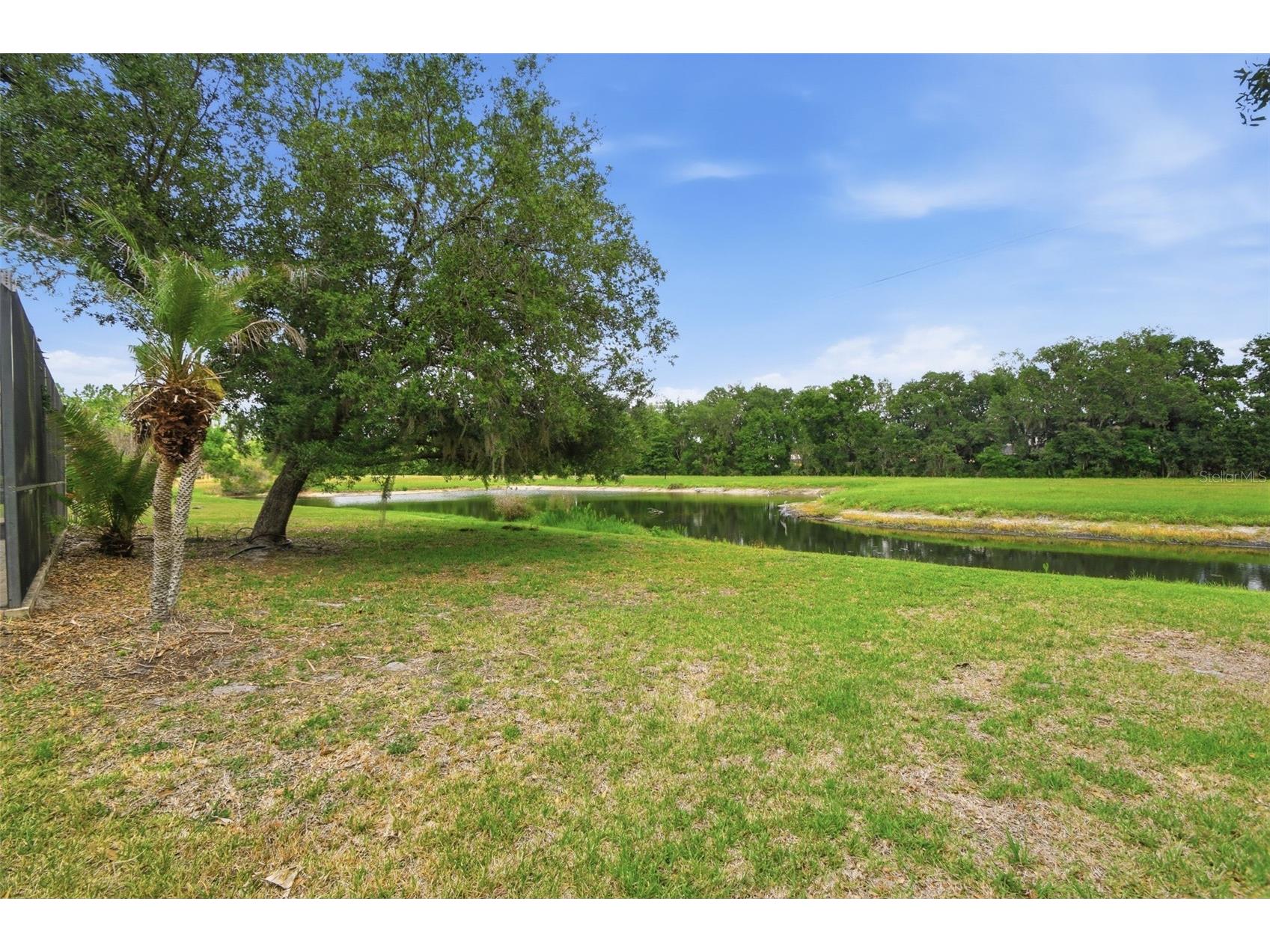6409 Bridgecrest Drive Lithia FL 33547 O6404344 image59