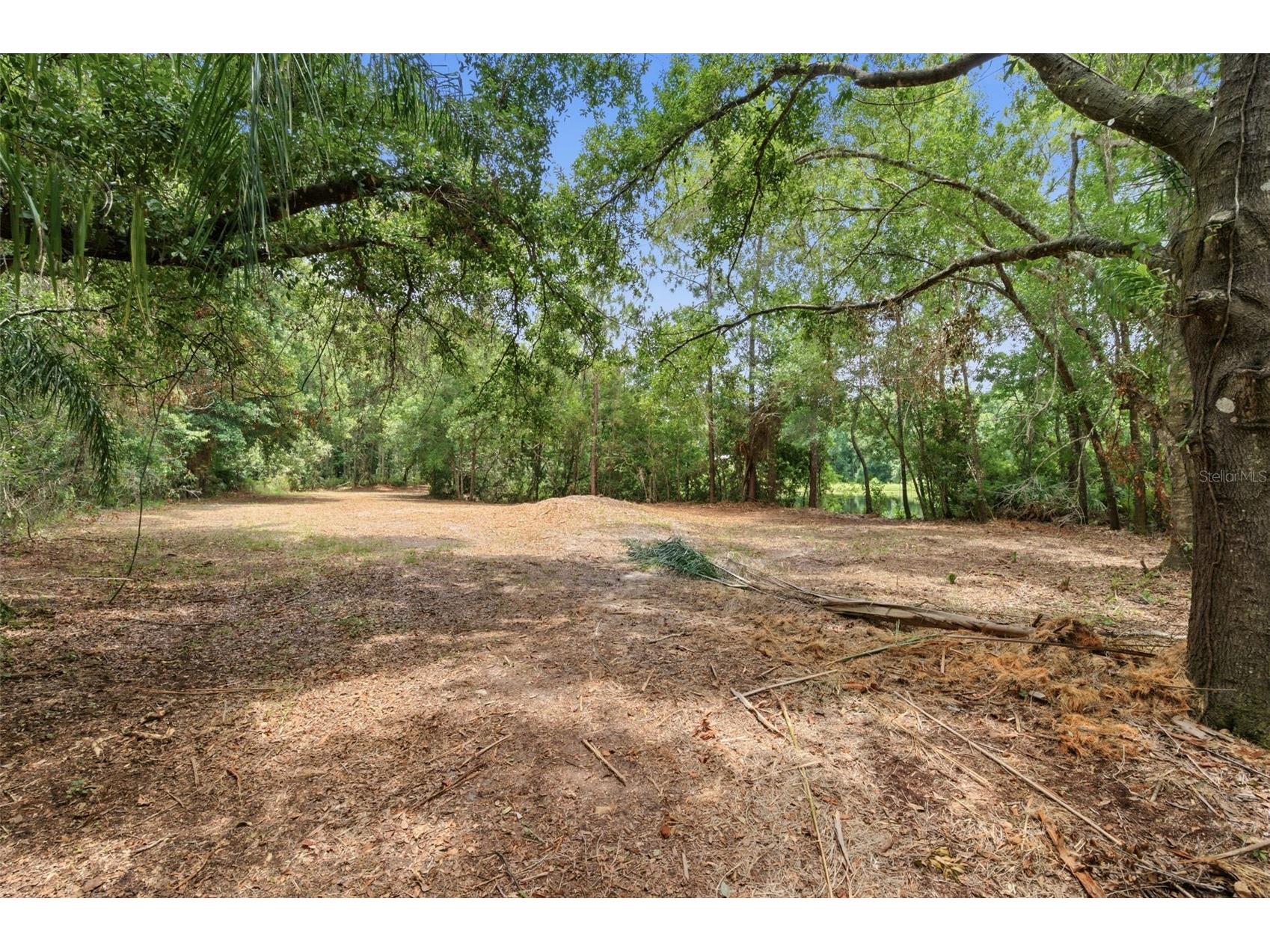 6409 Chiswick Court New Port Richey FL 34655 TB8518337 image12