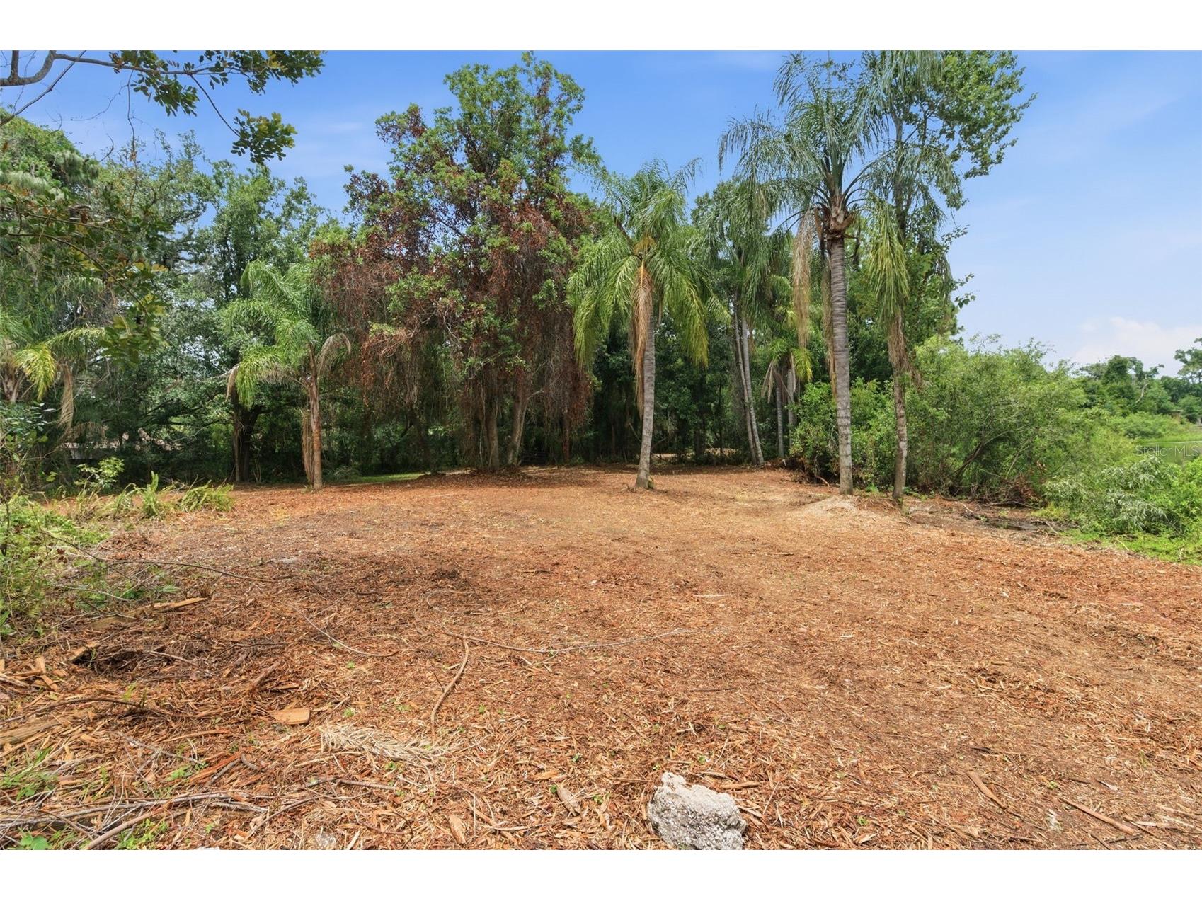 6409 Chiswick Court New Port Richey FL 34655 TB8518337 image14