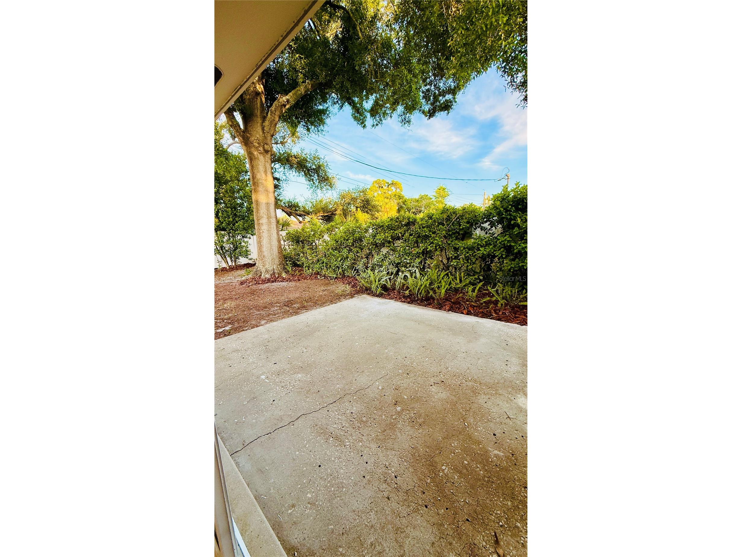 6409 Rosewood Drive Tampa FL 33615 TB8506911 image48