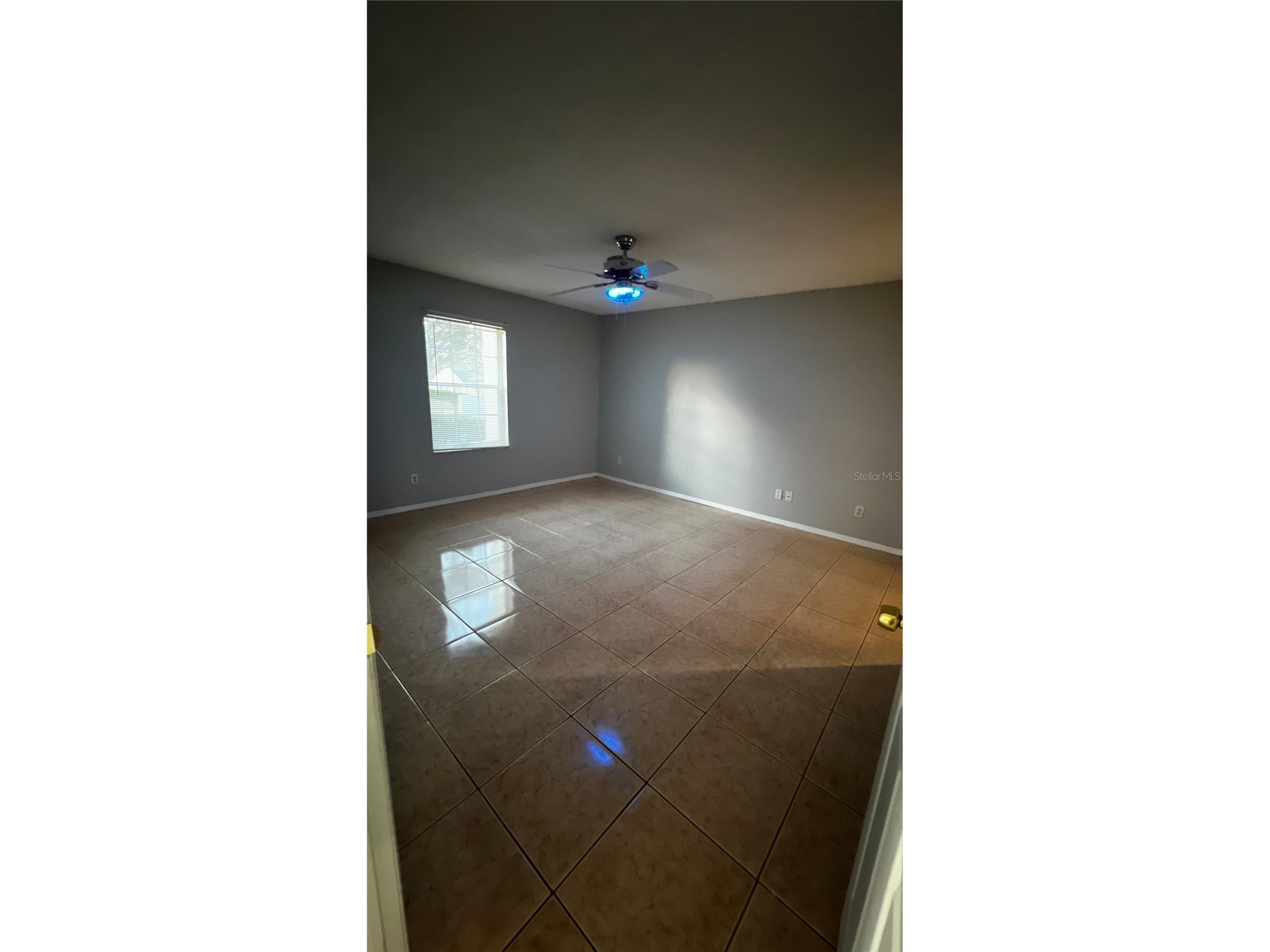 6409 Royal Tern Street Orlando FL 32810 O6389693 image5