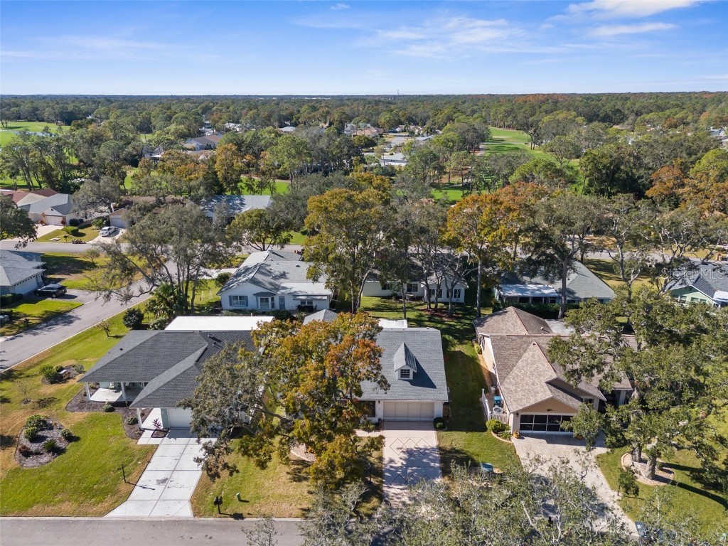 6409 Wedgewood Drive Spring Hill FL 34606 W7870813 image28