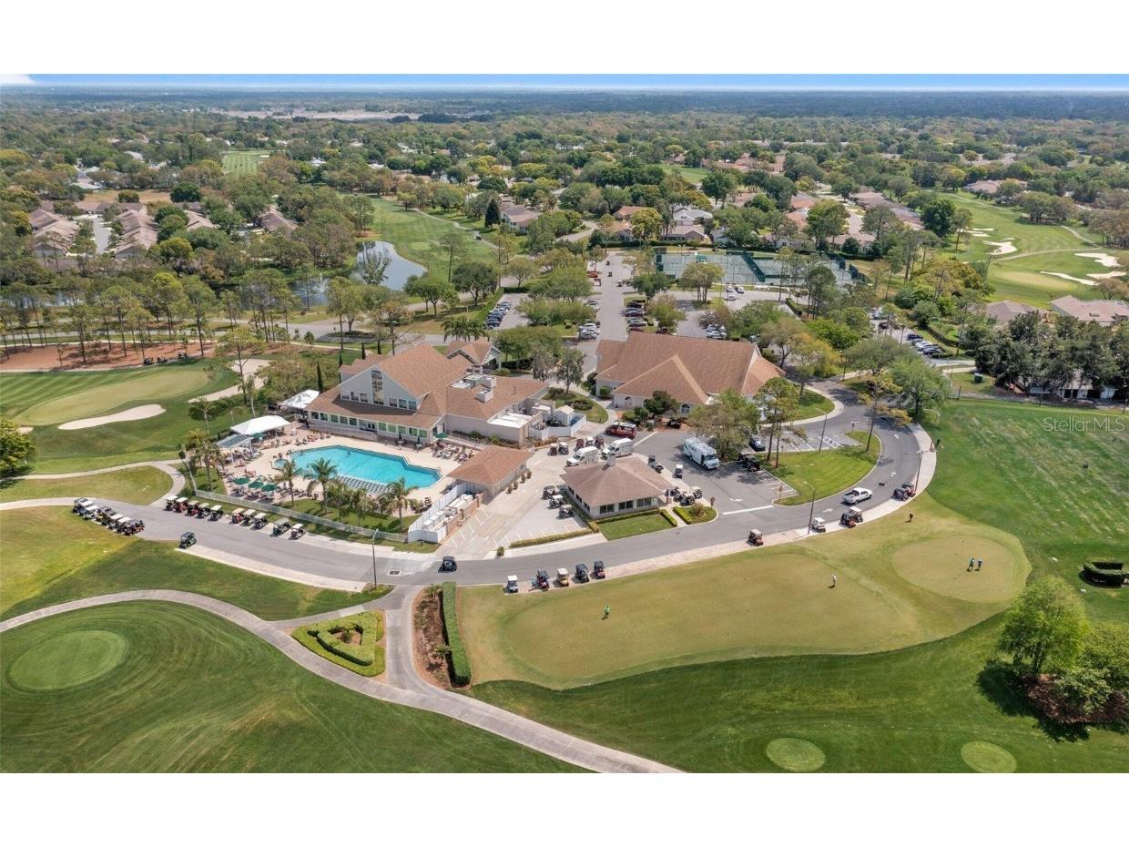 6409 Wedgewood Drive Spring Hill FL 34606 W7870813 image29