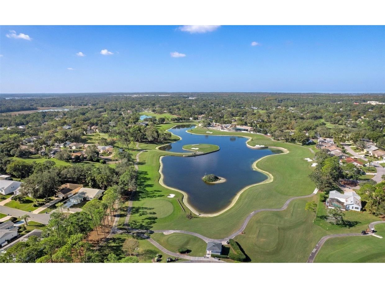 6409 Wedgewood Drive Spring Hill FL 34606 W7870813 image3