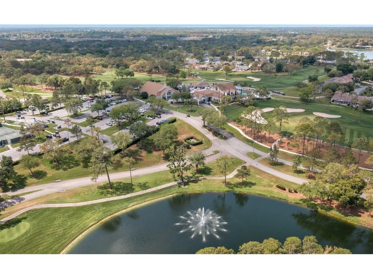 6409 Wedgewood Drive Spring Hill FL 34606 W7870813 image32