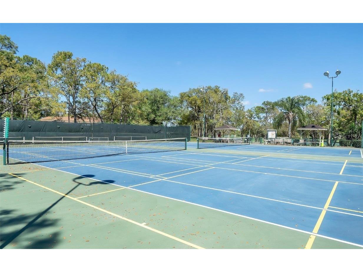 6409 Wedgewood Drive Spring Hill FL 34606 W7870813 image34