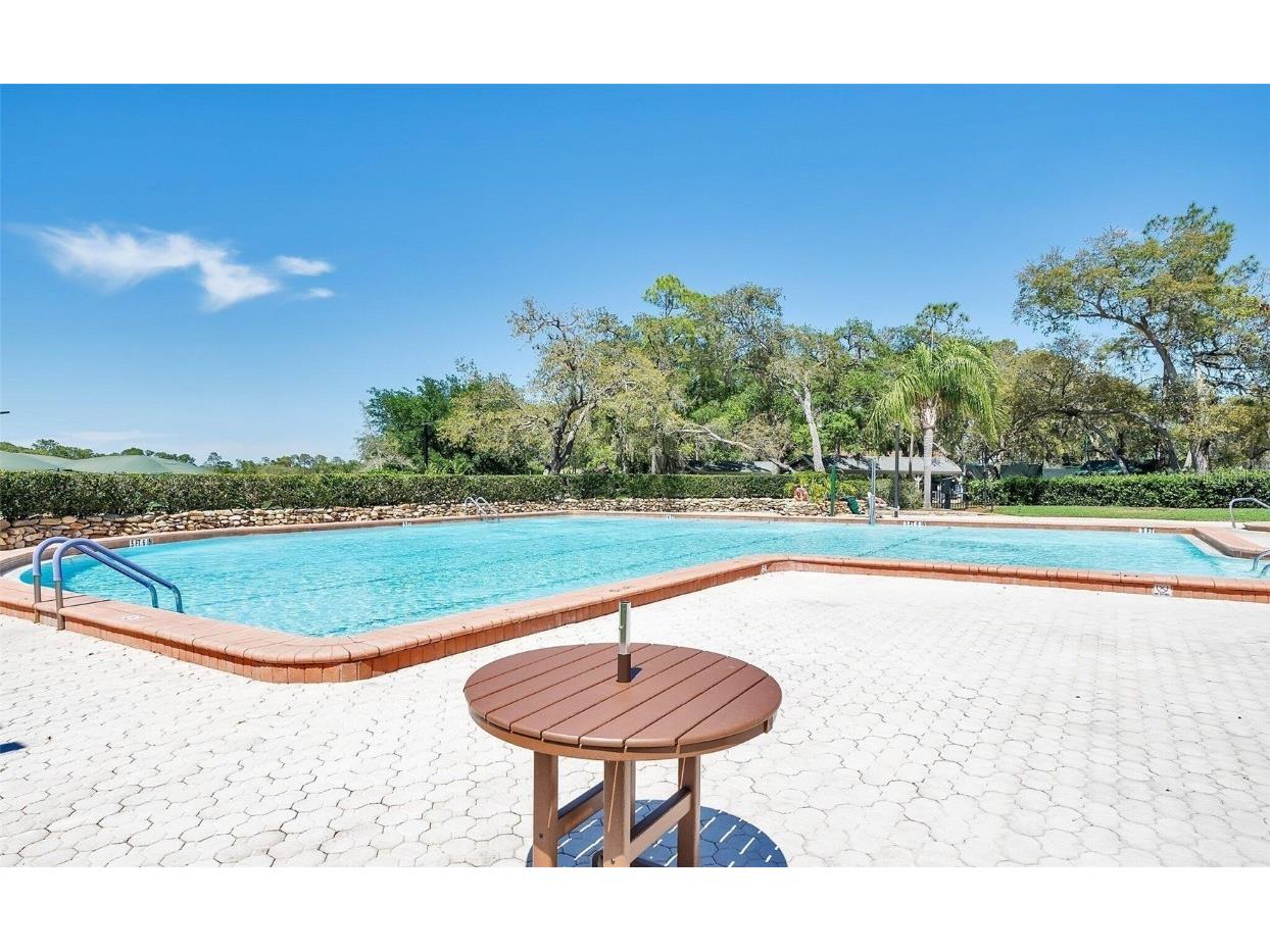 6409 Wedgewood Drive Spring Hill FL 34606 W7870813 image38