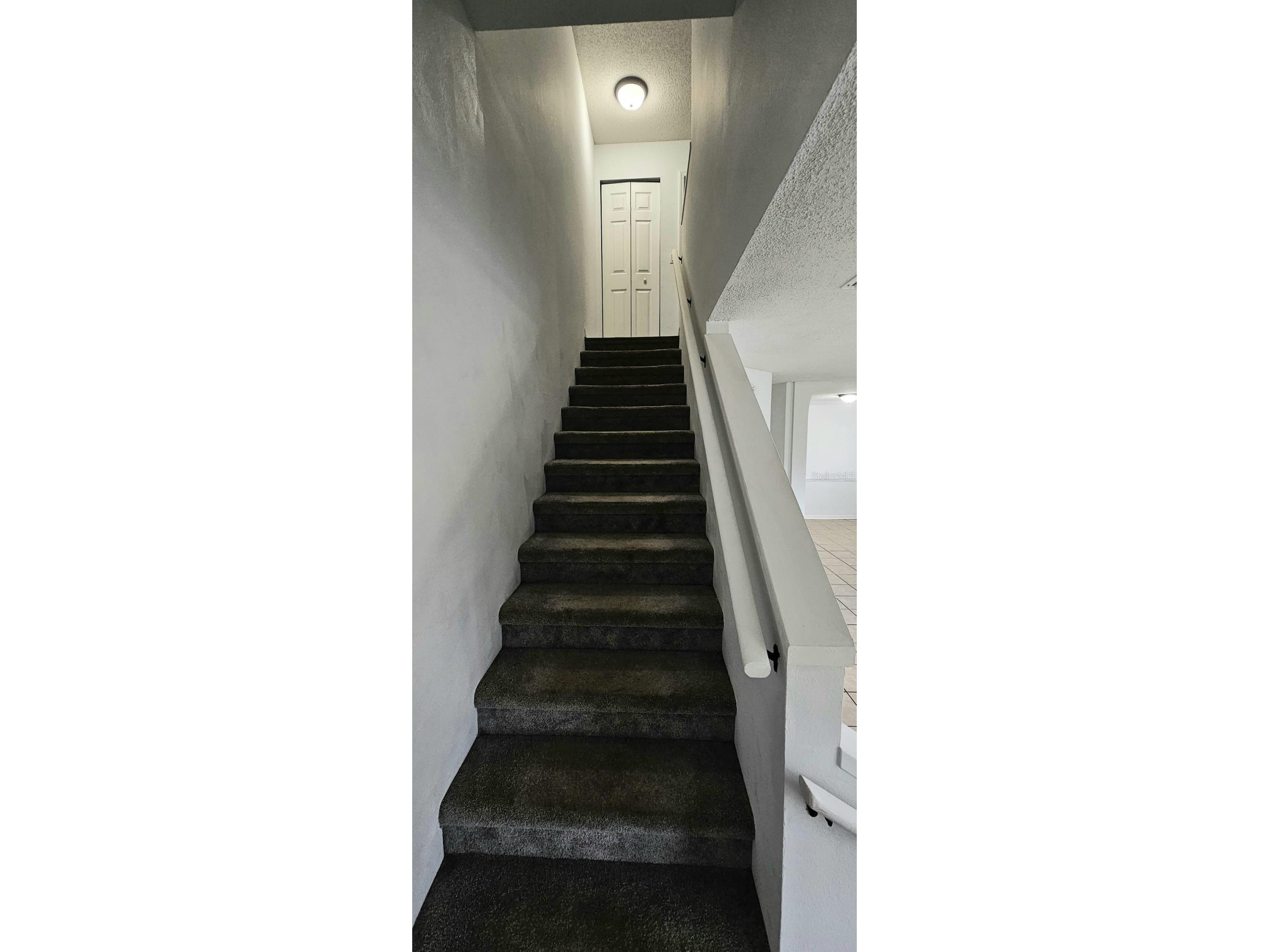 641 Kensington Lake Circle Brandon FL 33511 TB8481528 image11