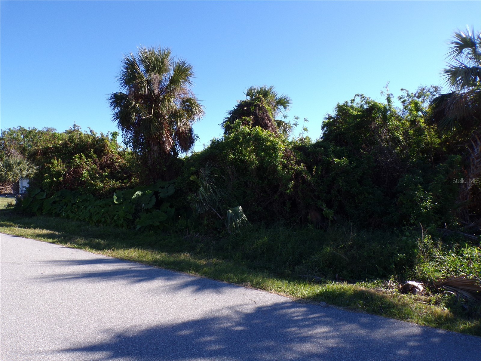 641 Norwood Street NW Port Charlotte FL 33952 C7501325 image5
