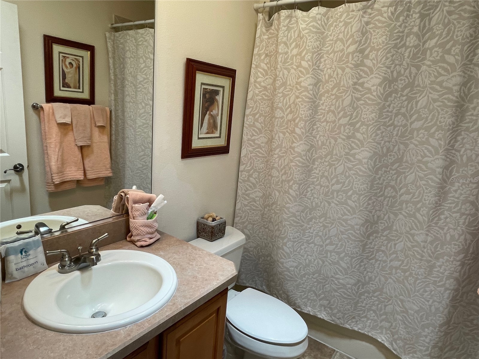 641 Stratford Lane The Villages FL 32162 G5113368 image13