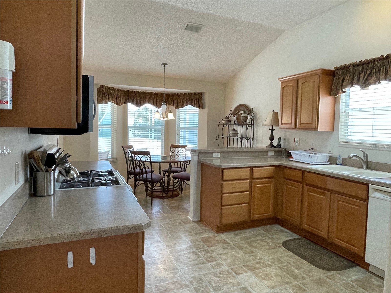 641 Stratford Lane The Villages FL 32162 G5113368 image2