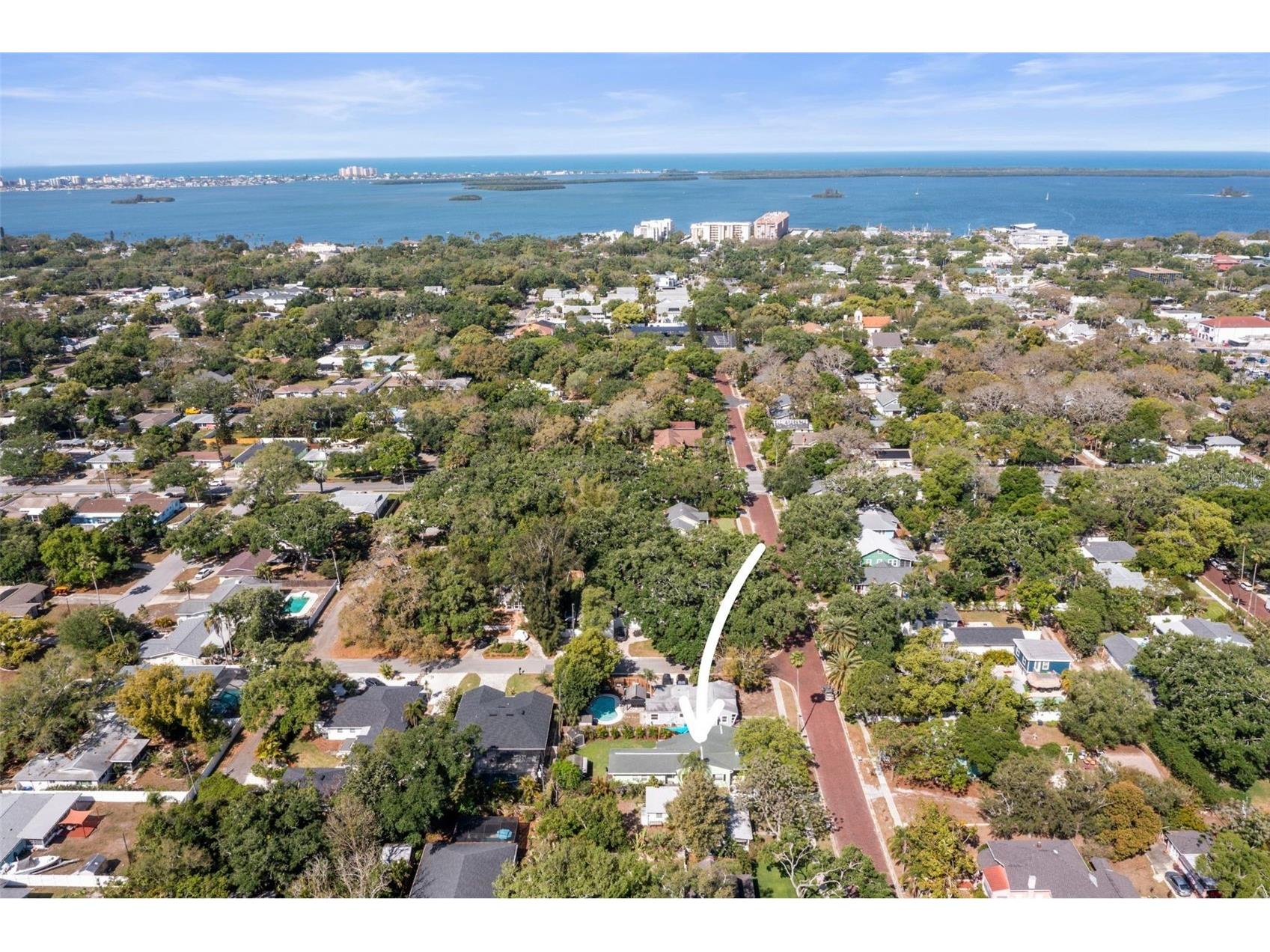 641 Wilkie Street Dunedin FL 34698 TB8492838 image47