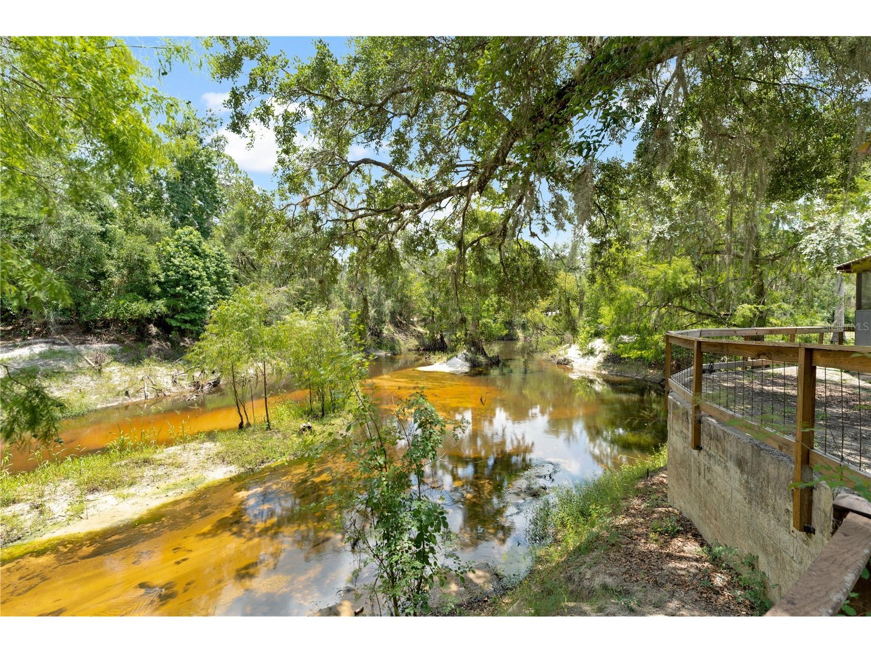 6410 Amelia Lane Dade City FL 33523 - WITHLACOOCHEE RIVER W7876745 image3