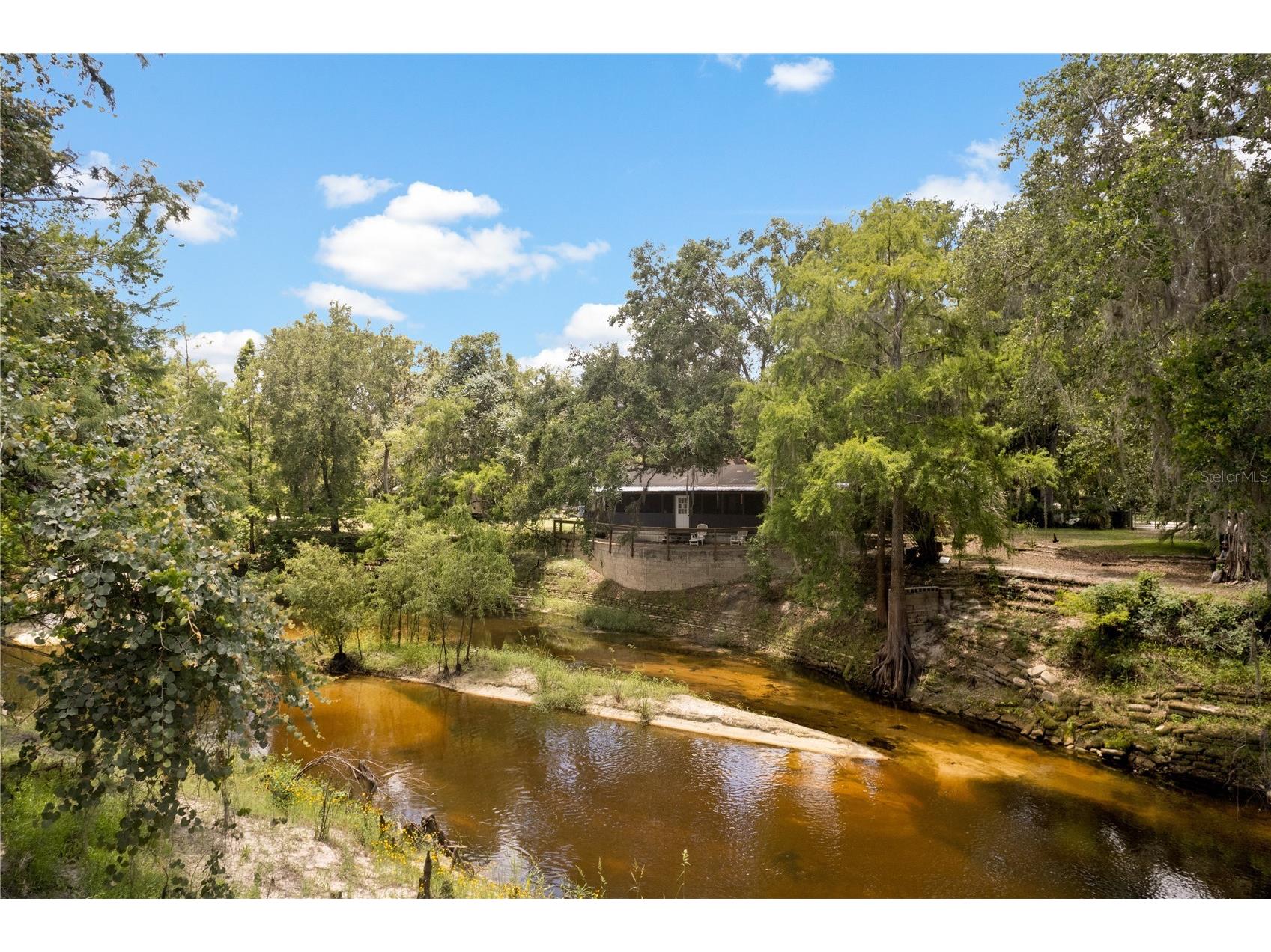 6410 Amelia Lane Dade City FL 33523 - WITHLACOOCHEE RIVER W7876745 image46