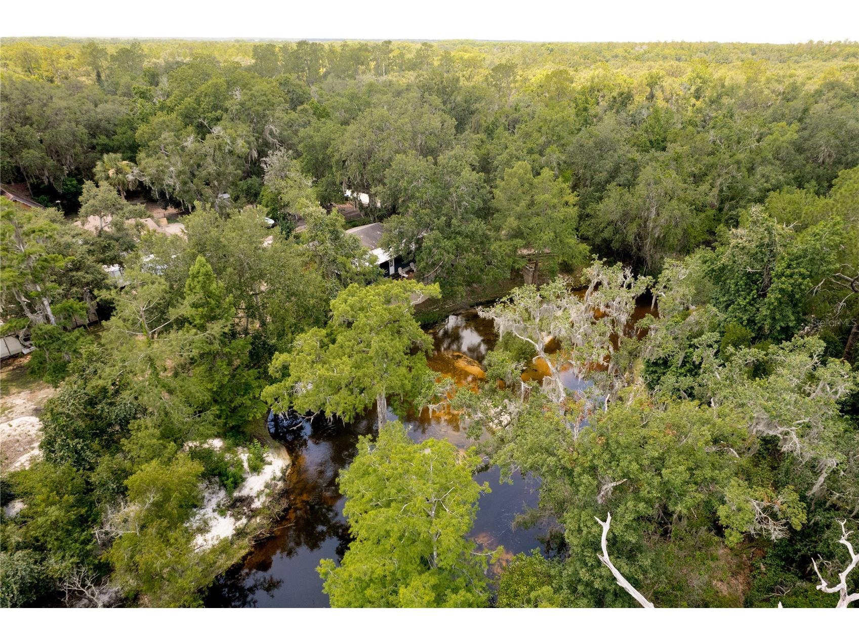 6410 Amelia Lane Dade City FL 33523 - WITHLACOOCHEE RIVER W7876745 image51