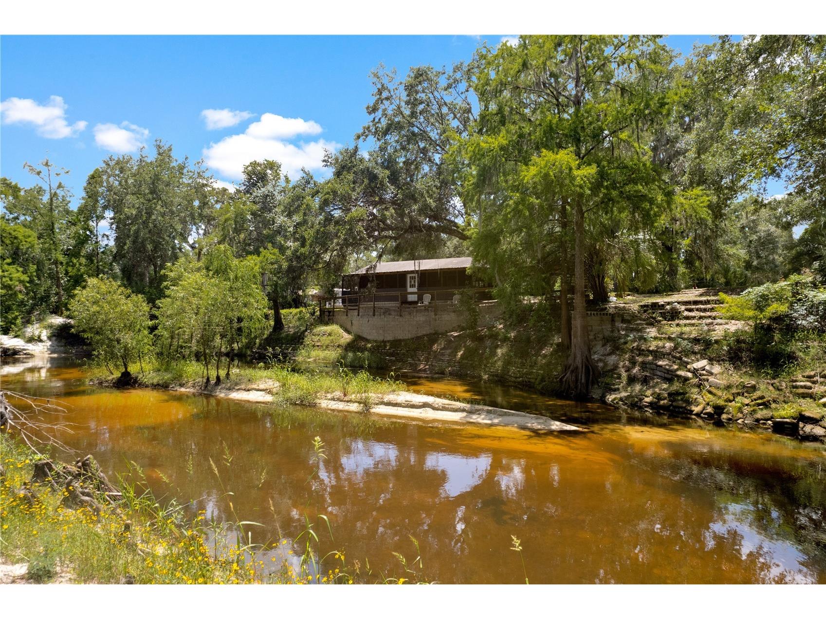 6410 Amelia Lane Dade City FL 33523 - WITHLACOOCHEE RIVER W7876745 image54