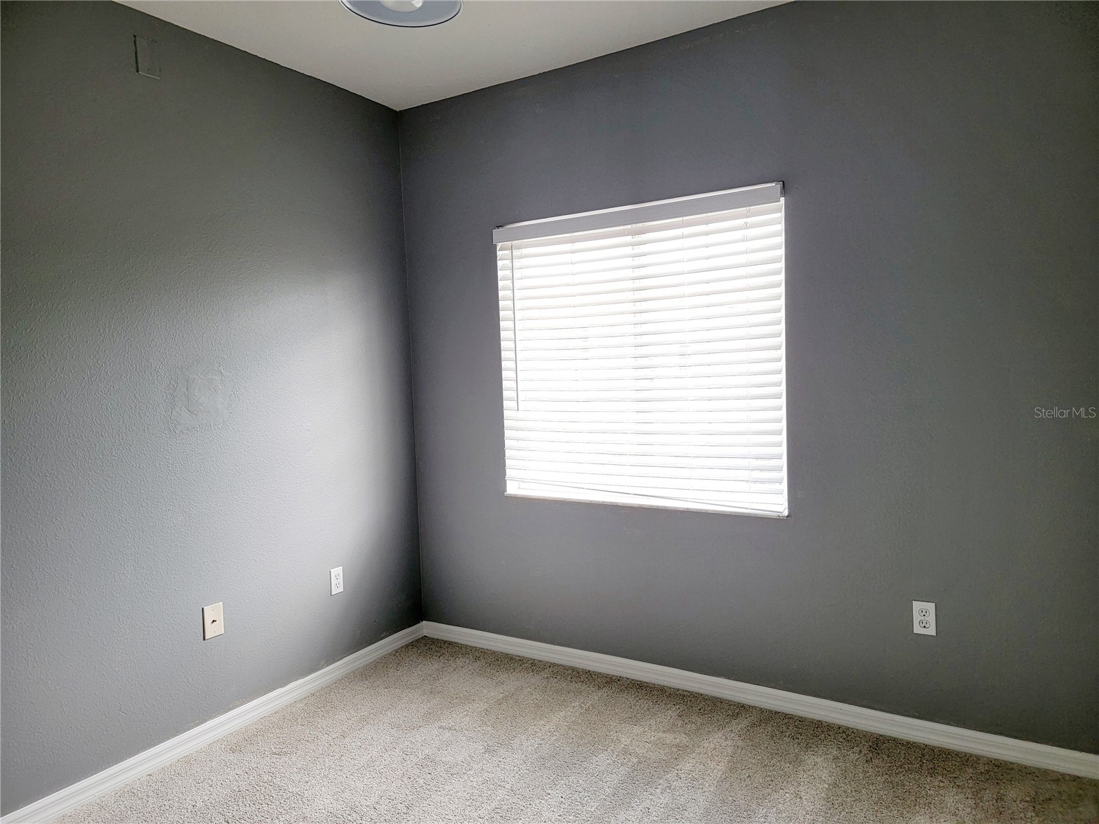 6410 Cypressdale Drive #201 Riverview FL 33578 TB8494796 image17