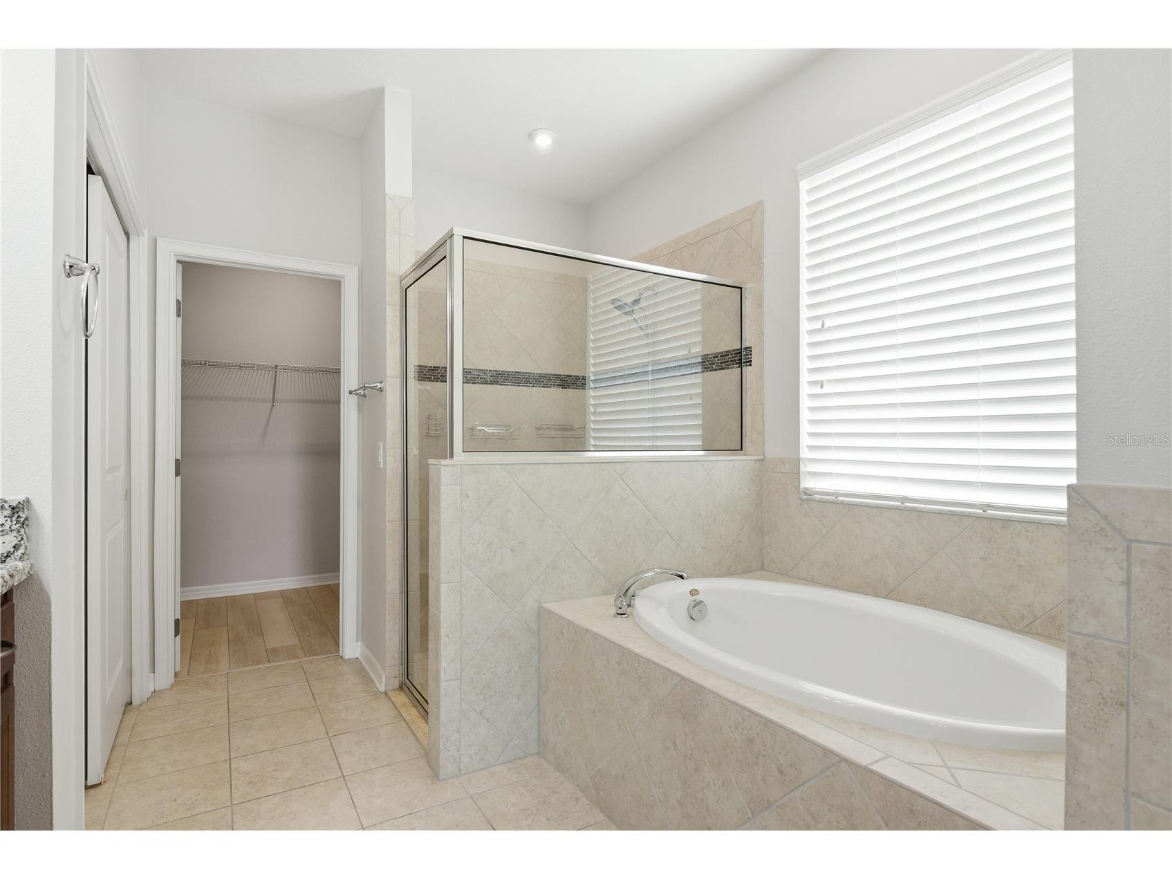 6410 Falling Oak Trail Wesley Chapel FL 33545 TB8511238 image28