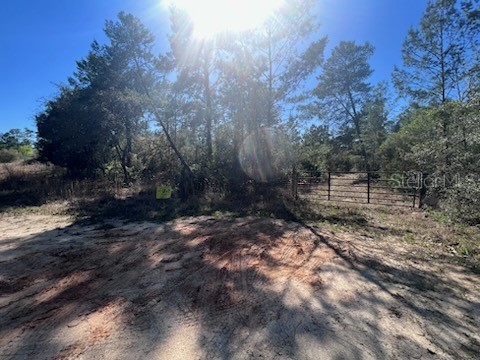 6410 N Zircon Point Dunnellon FL 34433 OM654837 image1