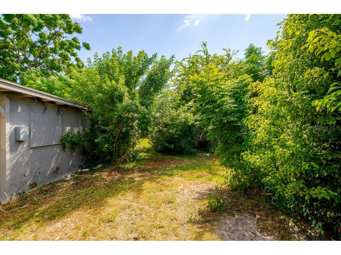 6410 Pensive Drive Port Richey FL 34668 TB8433182 image29