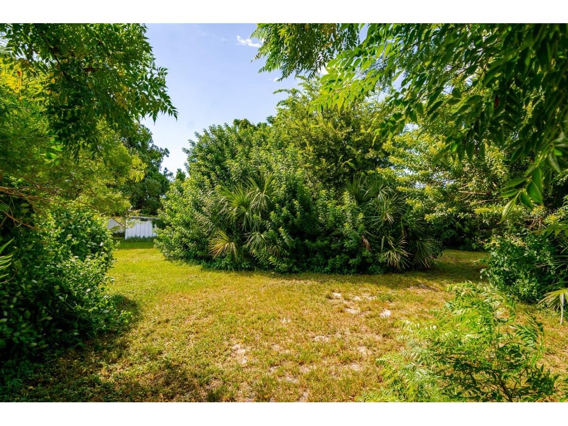 6410 Pensive Drive Port Richey FL 34668 TB8433182 image3