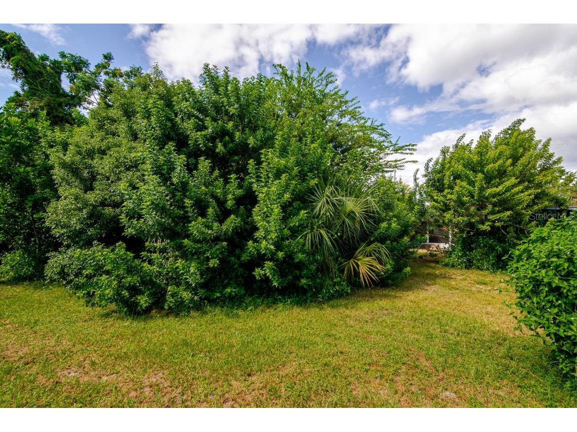 6410 Pensive Drive Port Richey FL 34668 TB8433182 image30