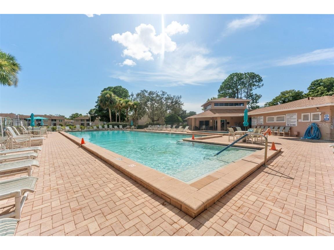 6410 Spring Flower Drive #24 New Port Richey FL 34653 TB8414898 image18