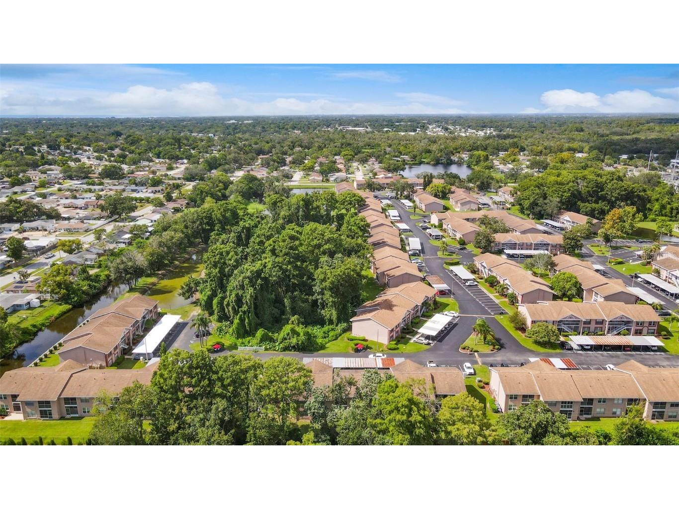 6410 Spring Flower Drive #24 New Port Richey FL 34653 TB8414898 image24