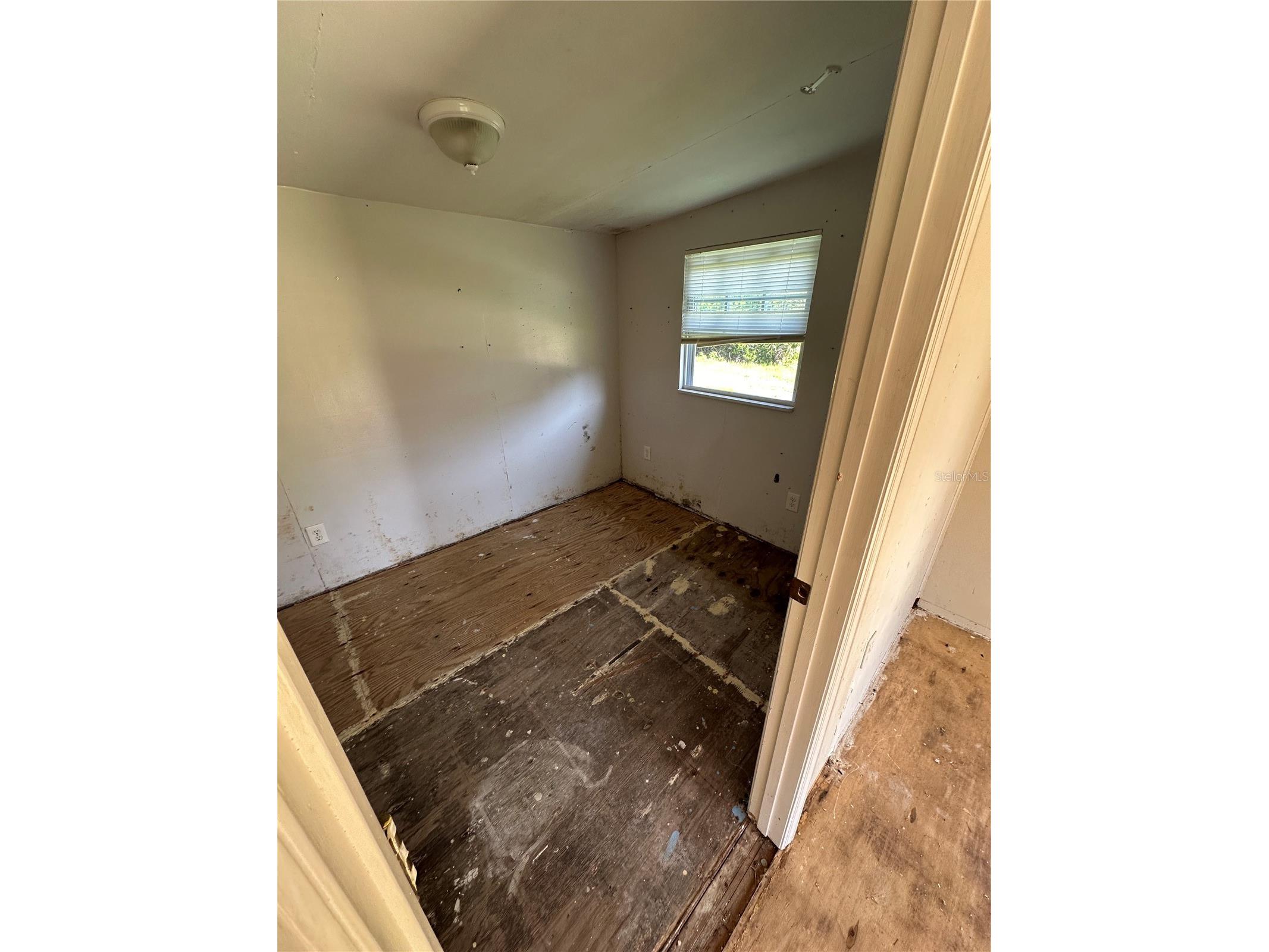 6411 & 6415 Werner Avenue New Port Richey FL 34652 TB8411575 image22