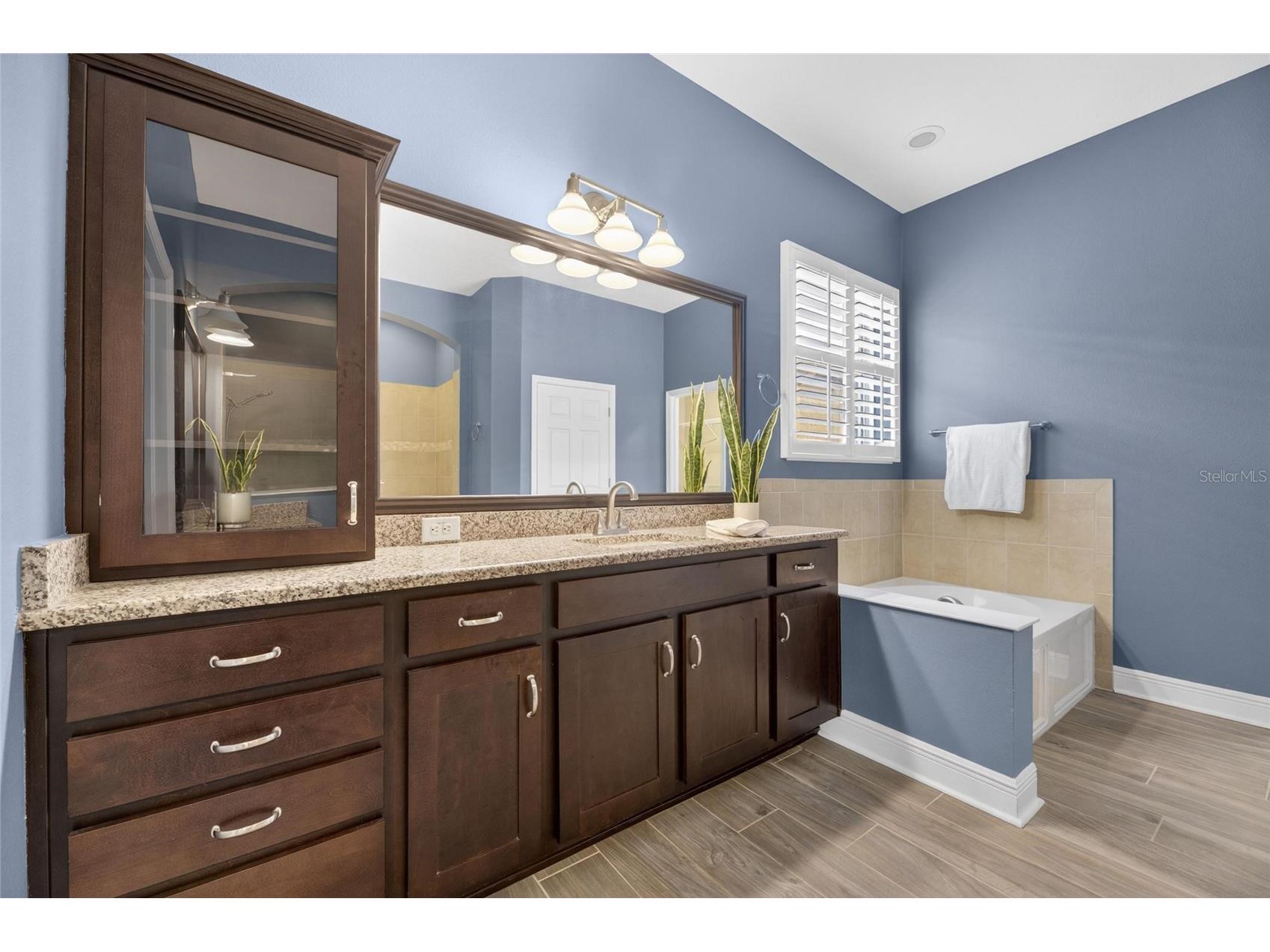 6411 Blue Sail Lane Apollo Beach FL 33572 TB8511249 image49